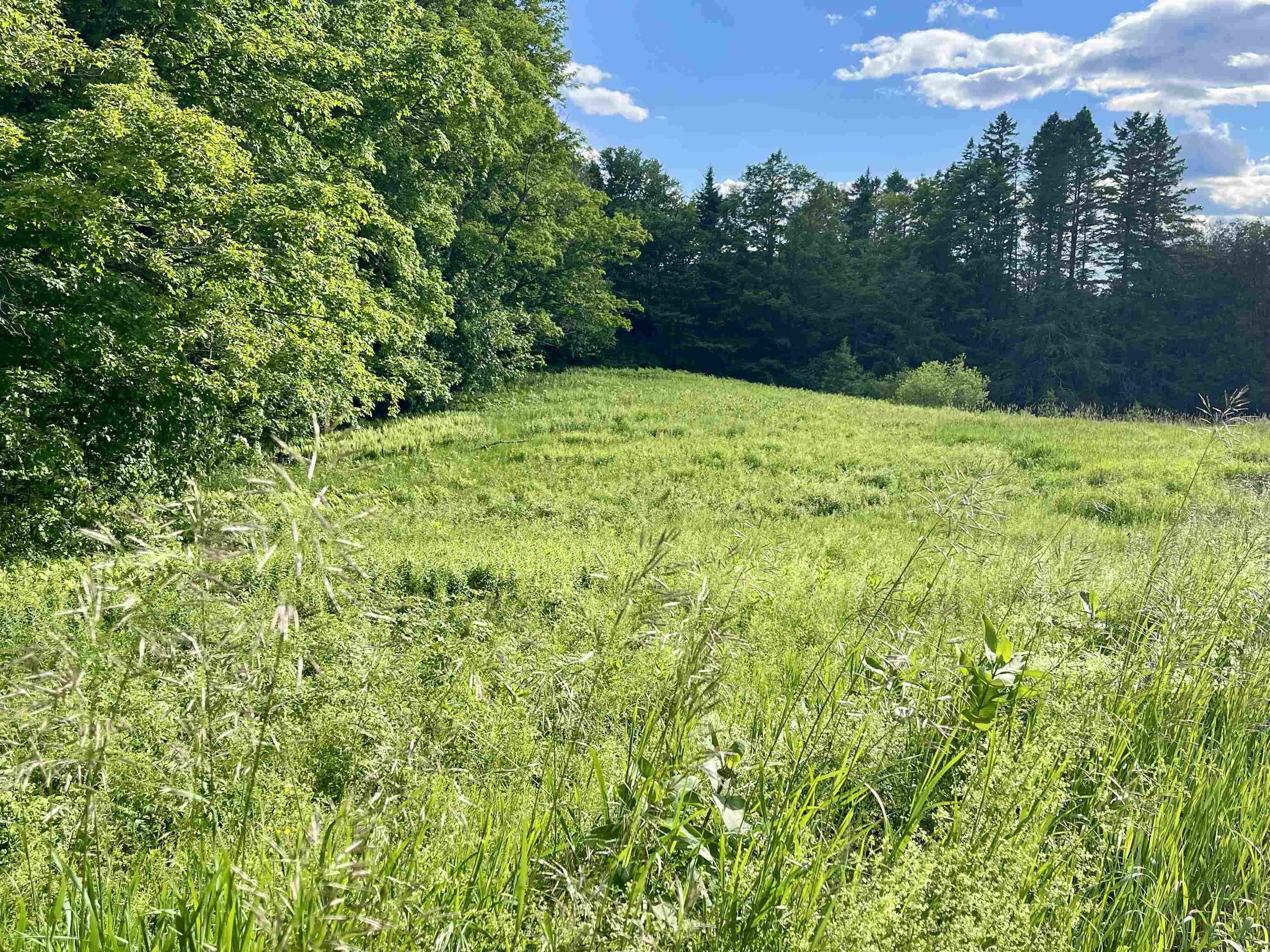 00 Old Farm Road Property Photo 6