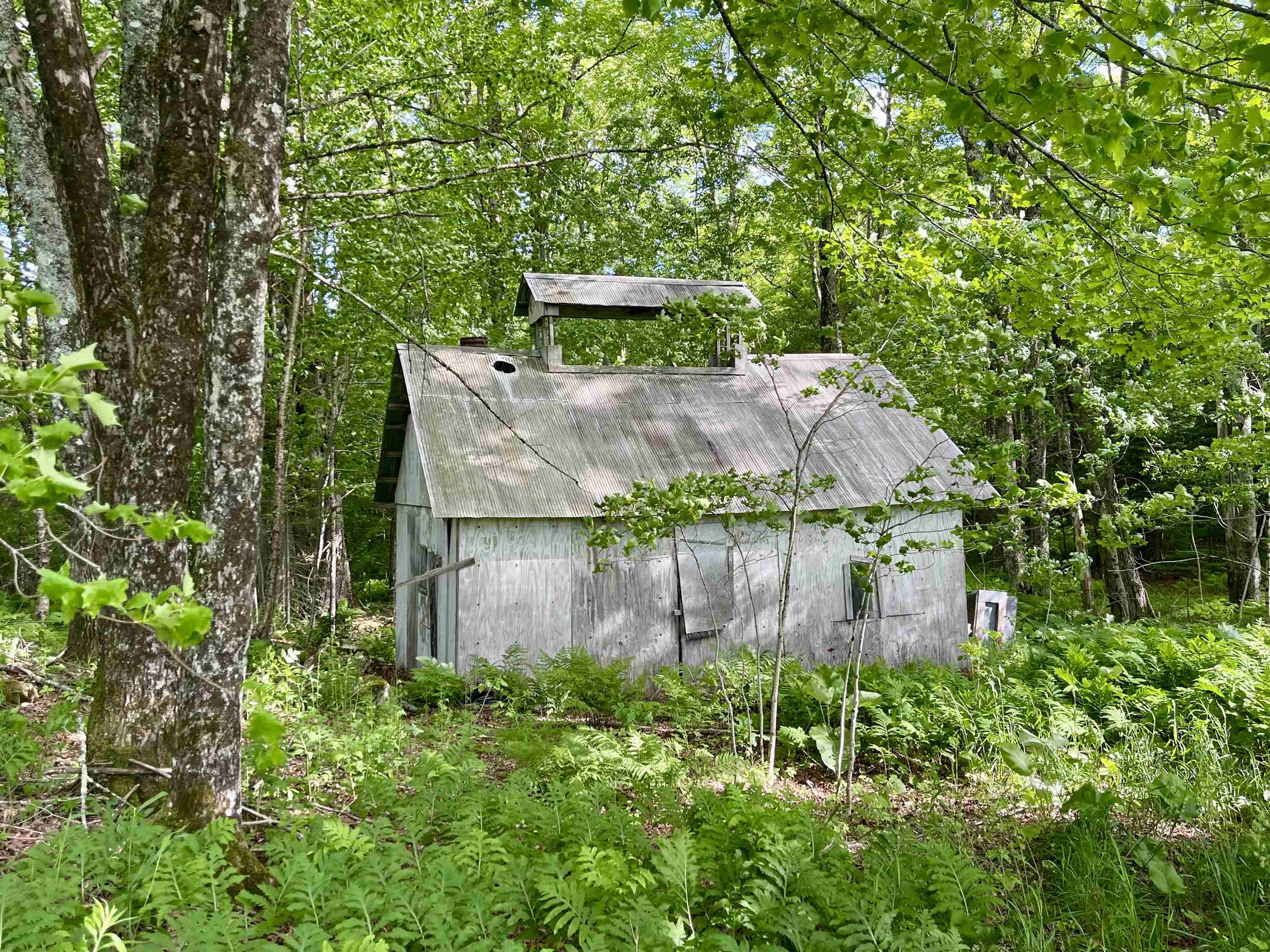 00 Old Farm Road Property Photo 7