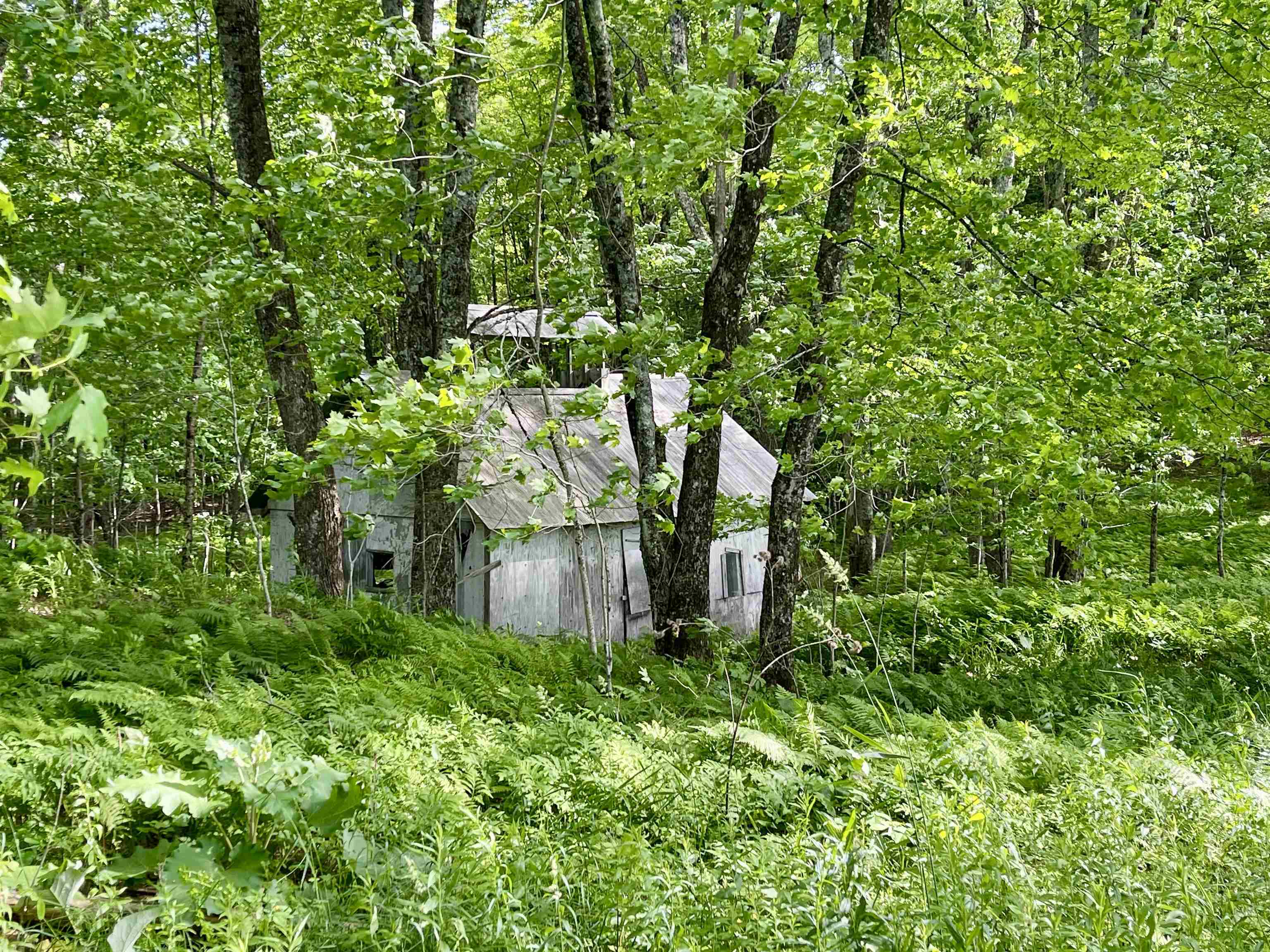 00 Old Farm Road Property Photo 8