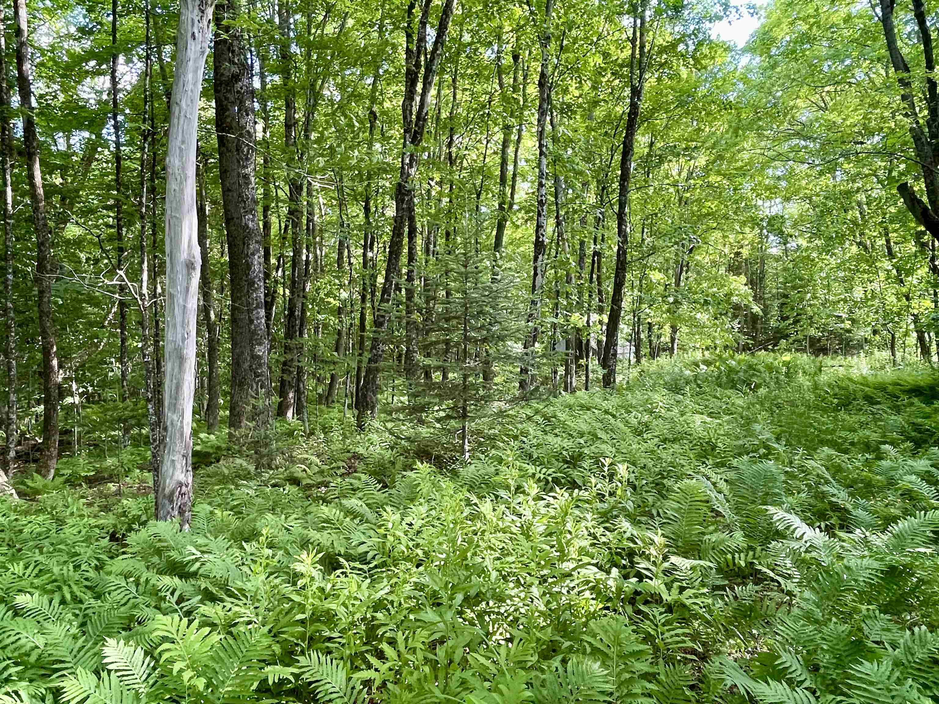 00 Old Farm Road Property Photo 10
