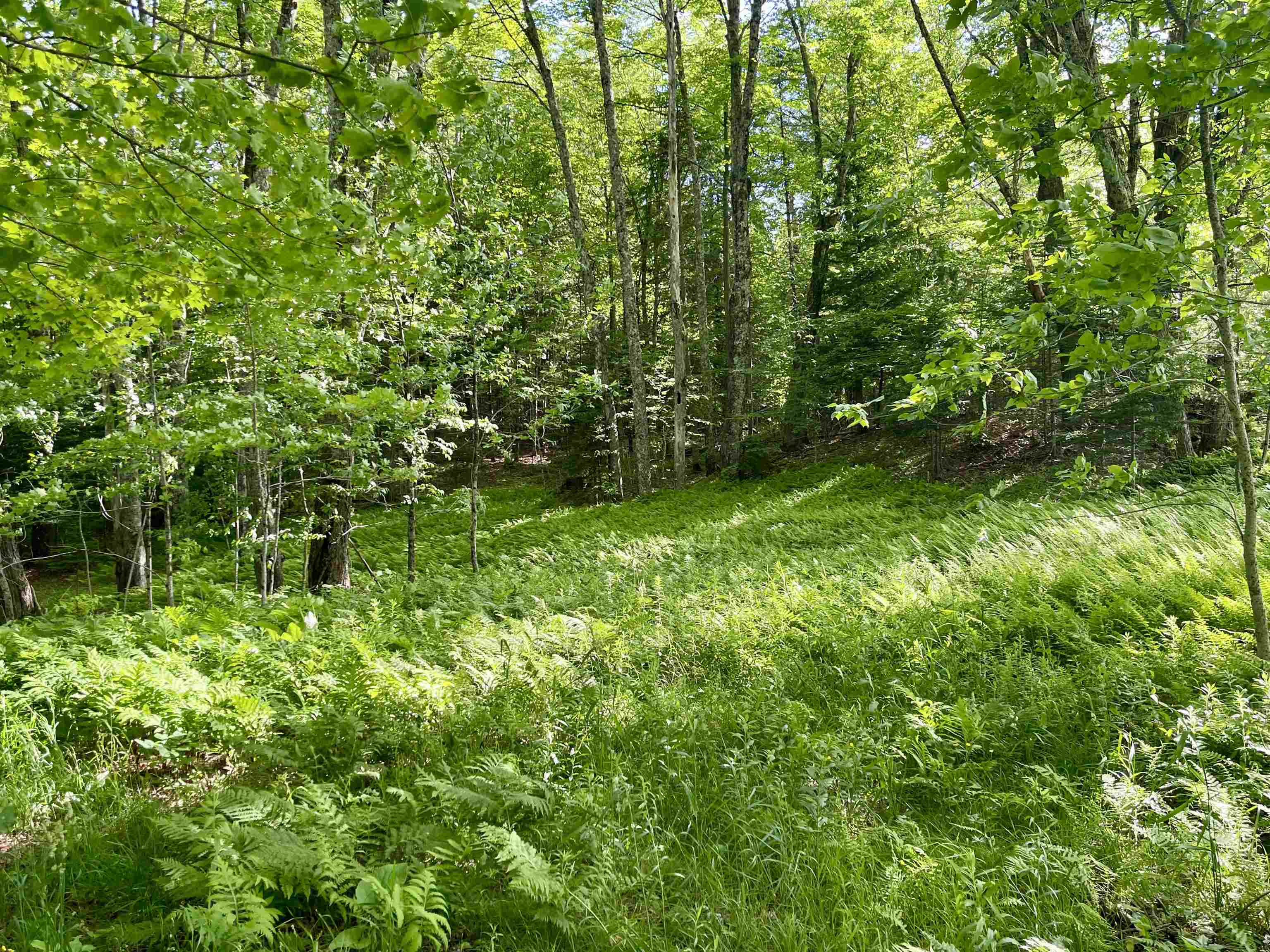 00 Old Farm Road Property Photo 11