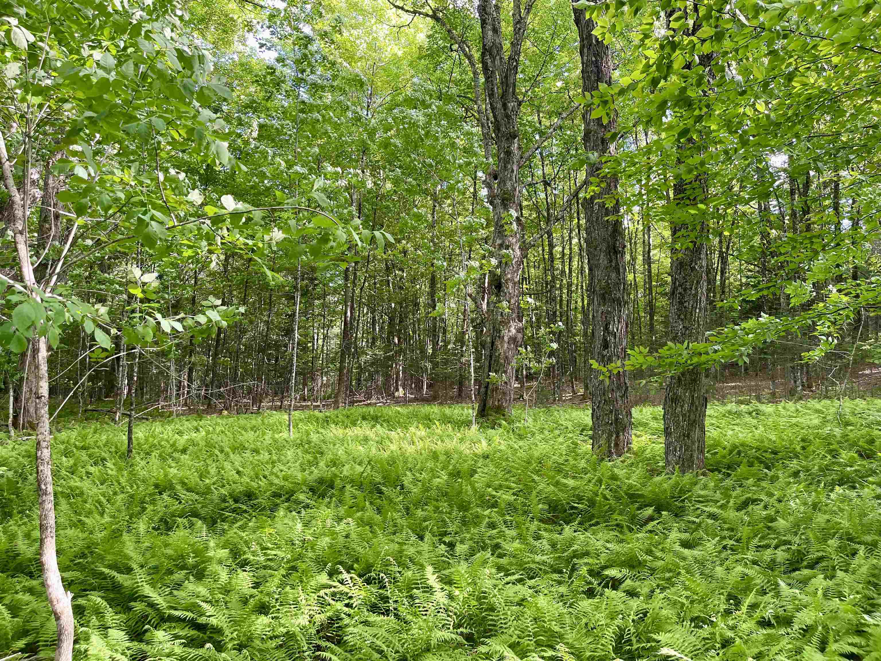 00 Old Farm Road Property Photo 13