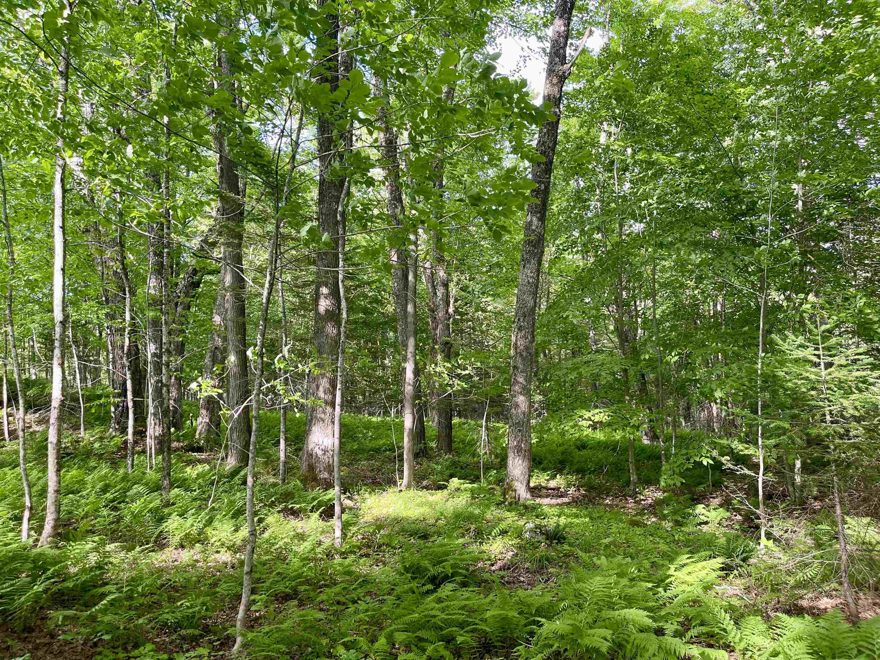 00 Old Farm Road Property Photo 14