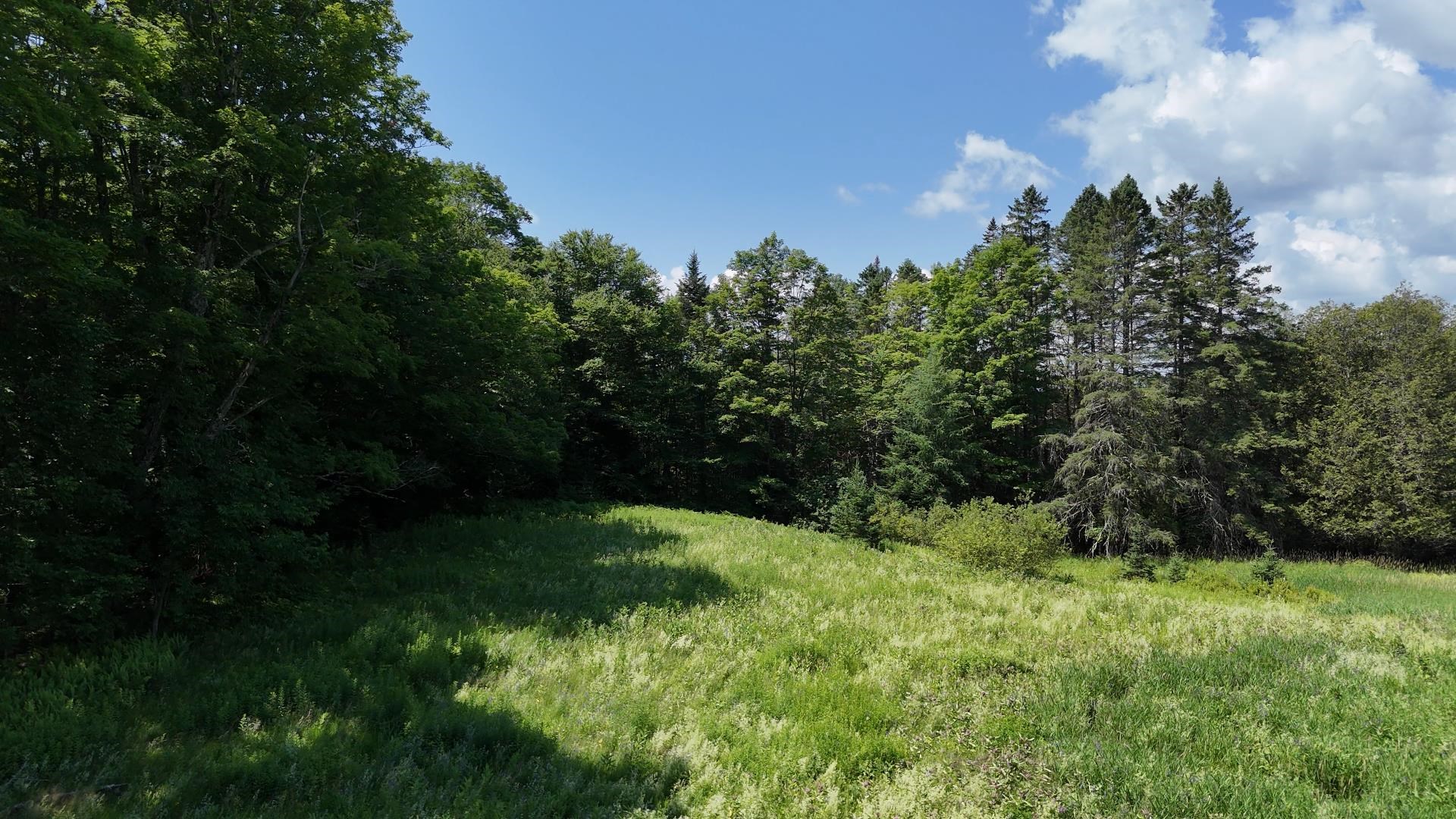 00 Old Farm Road Property Photo 15