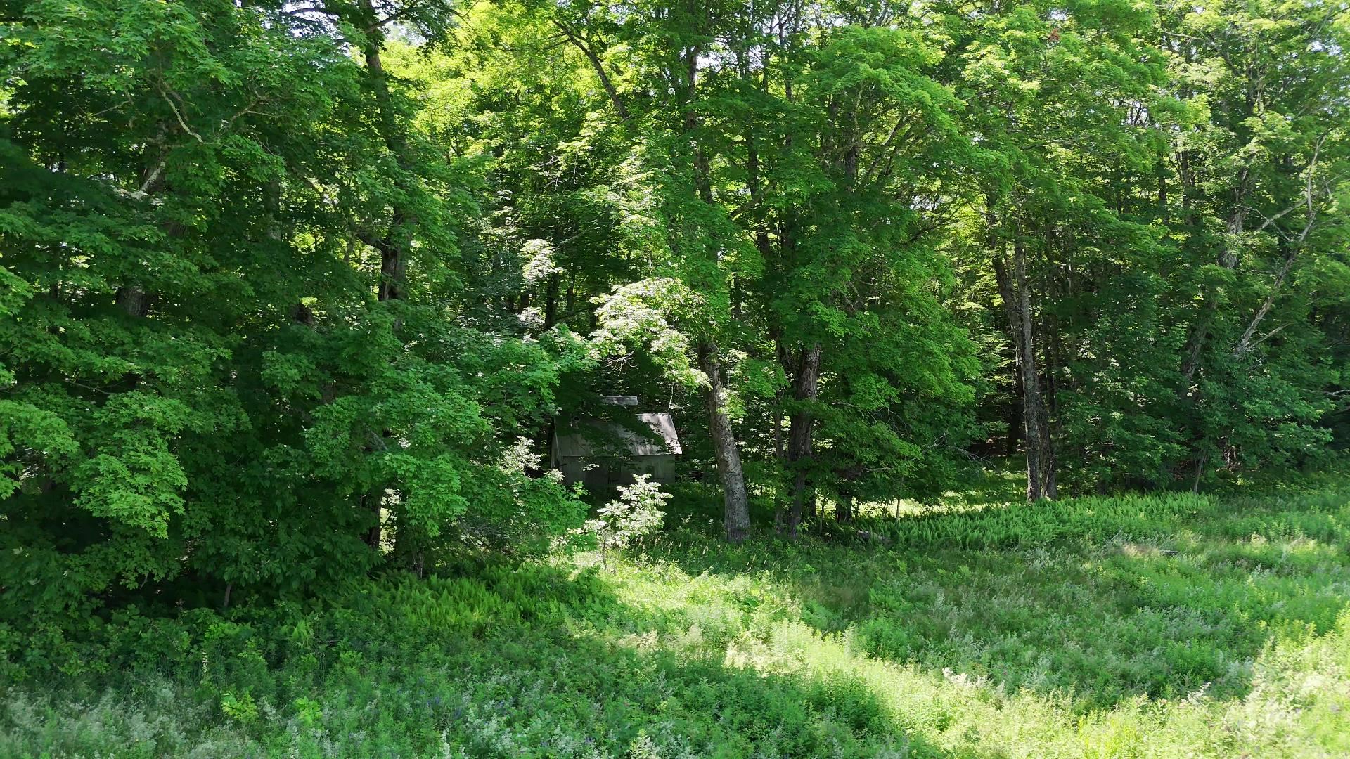 00 Old Farm Road Property Photo 17