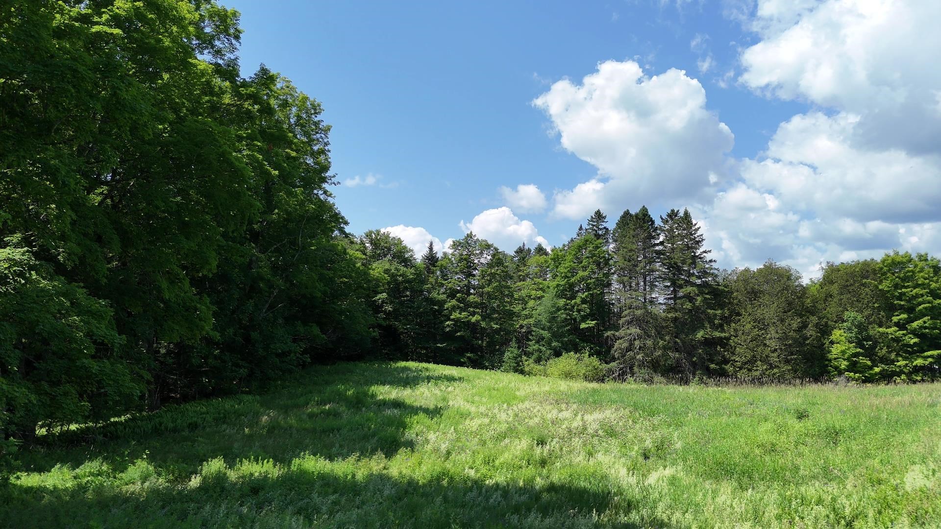 00 Old Farm Road Property Photo 20