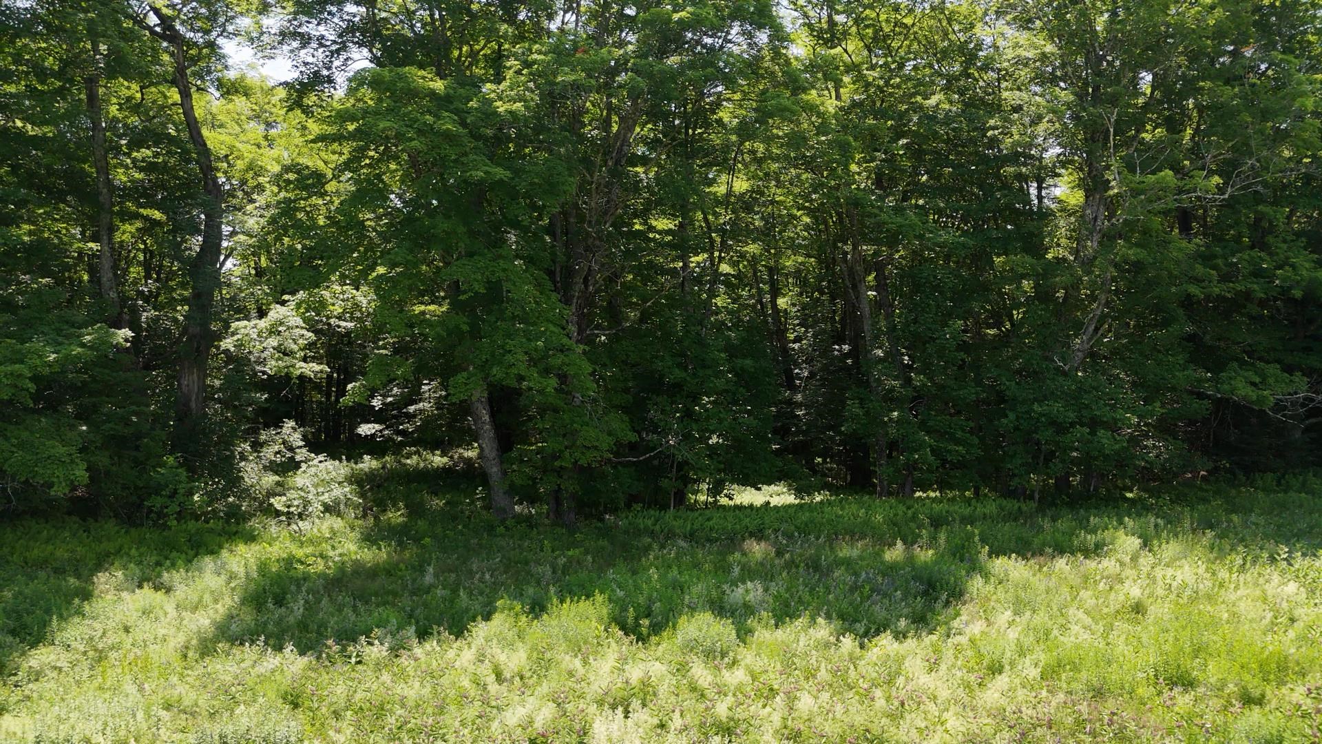00 Old Farm Road Property Photo 23