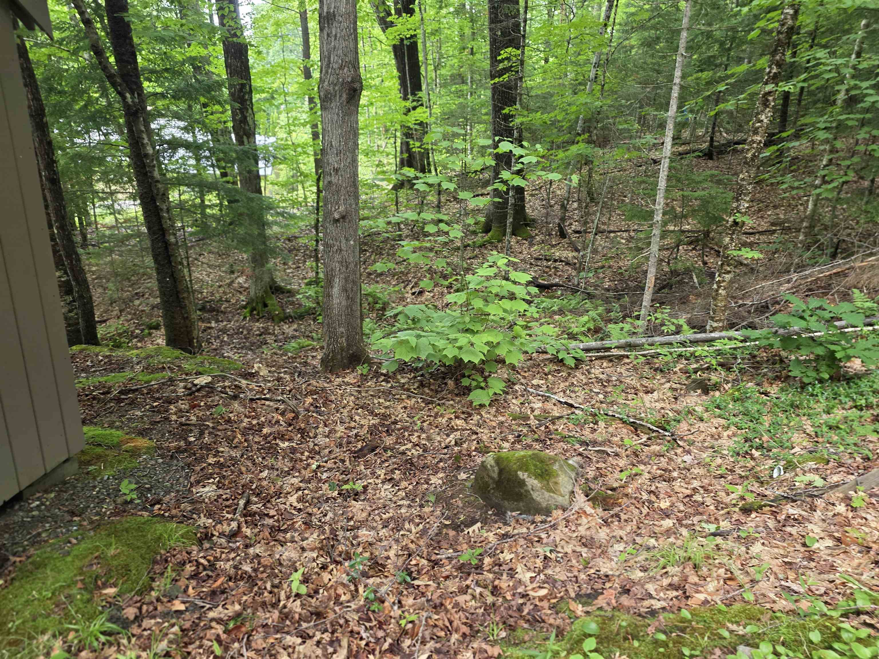 429 Perch Pond Road Property Photo 50