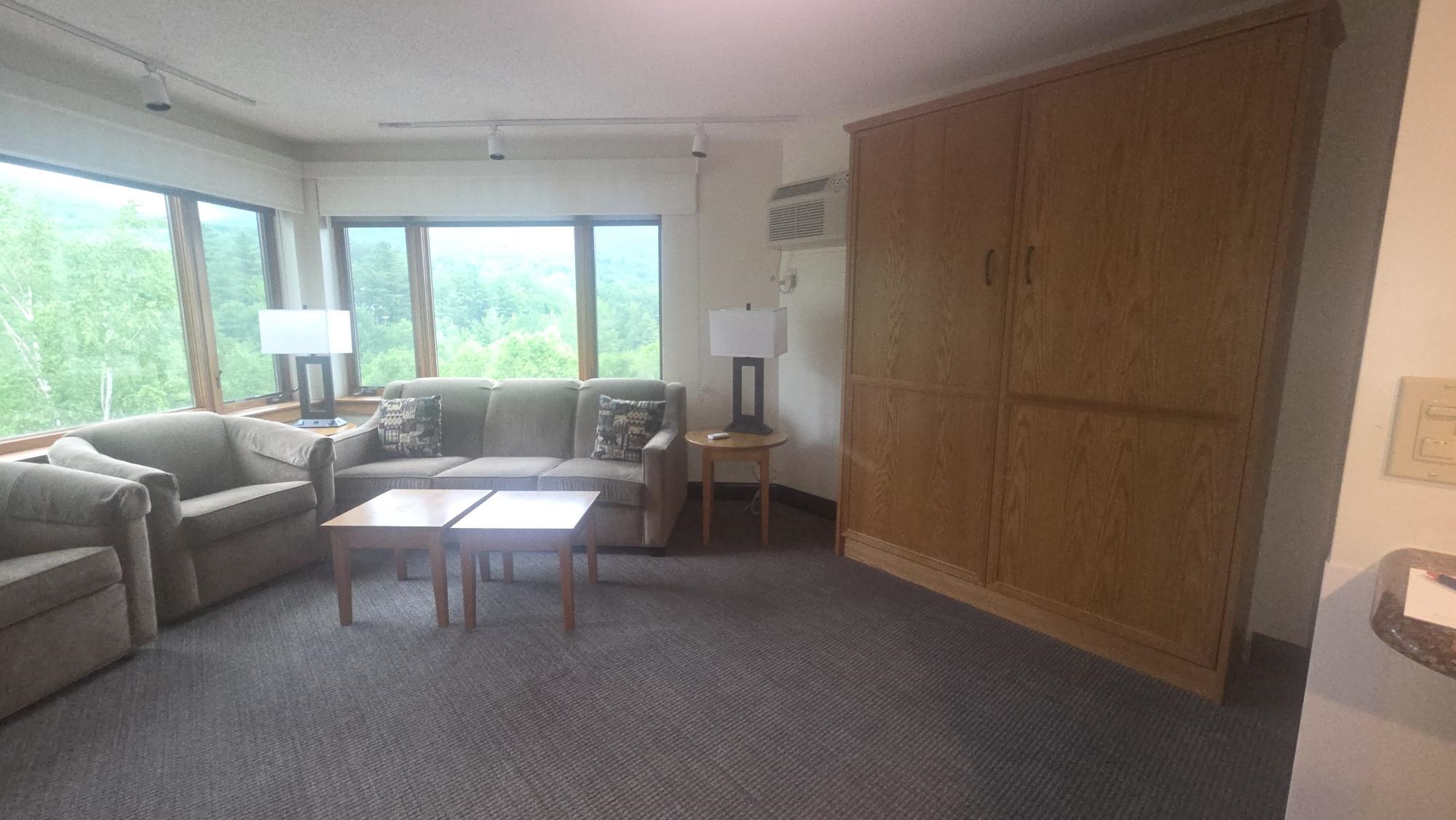 90 Loon Mountain Road Property Photo 2