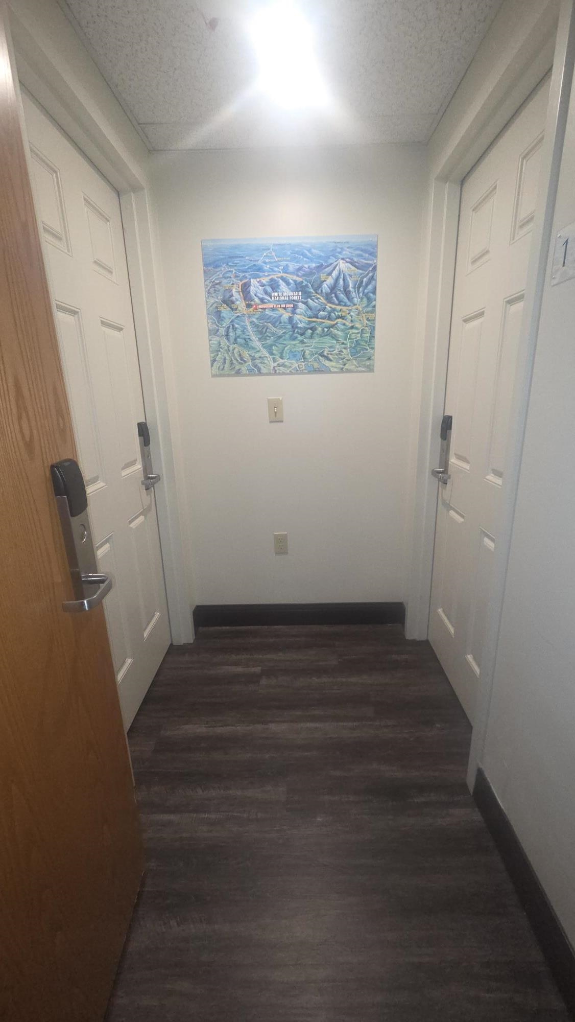 90 Loon Mountain Road Property Photo 12