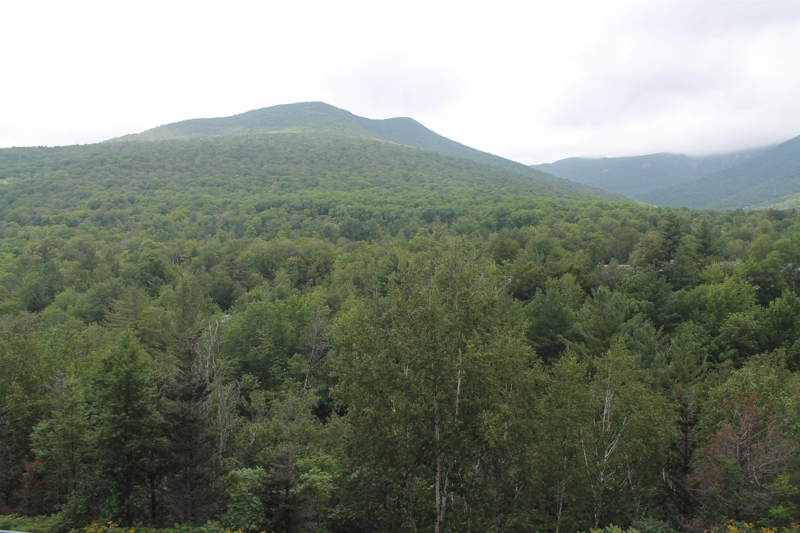 90 Loon Mountain Road Property Photo 14