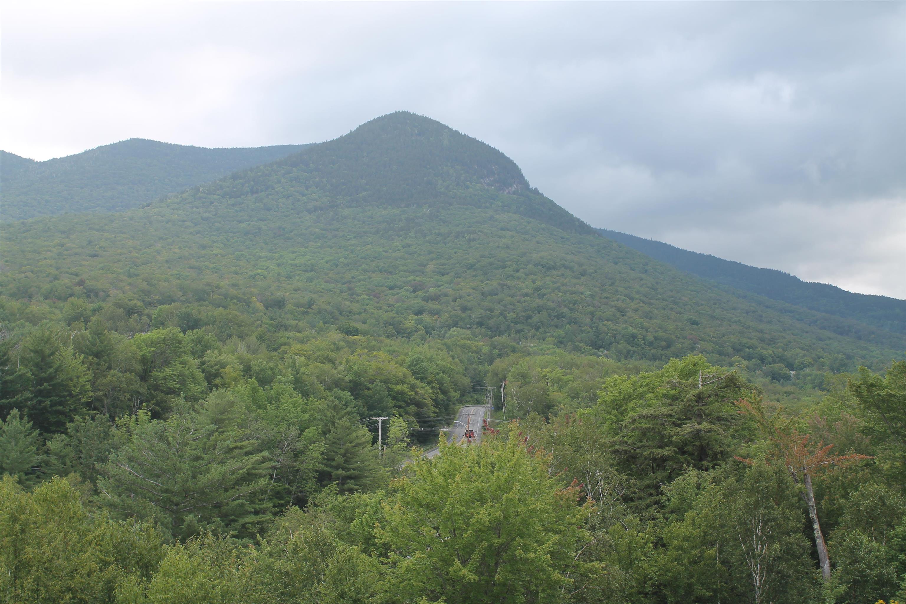 90 Loon Mountain Road Property Photo 15