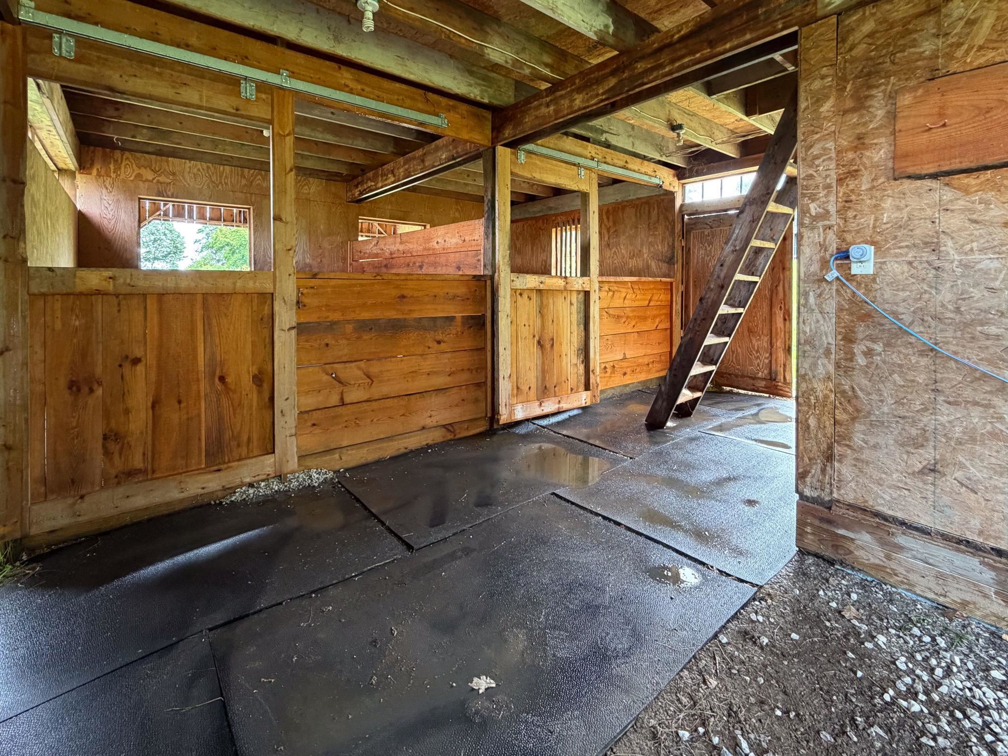 6307 Mount Philo Road Property Photo 46