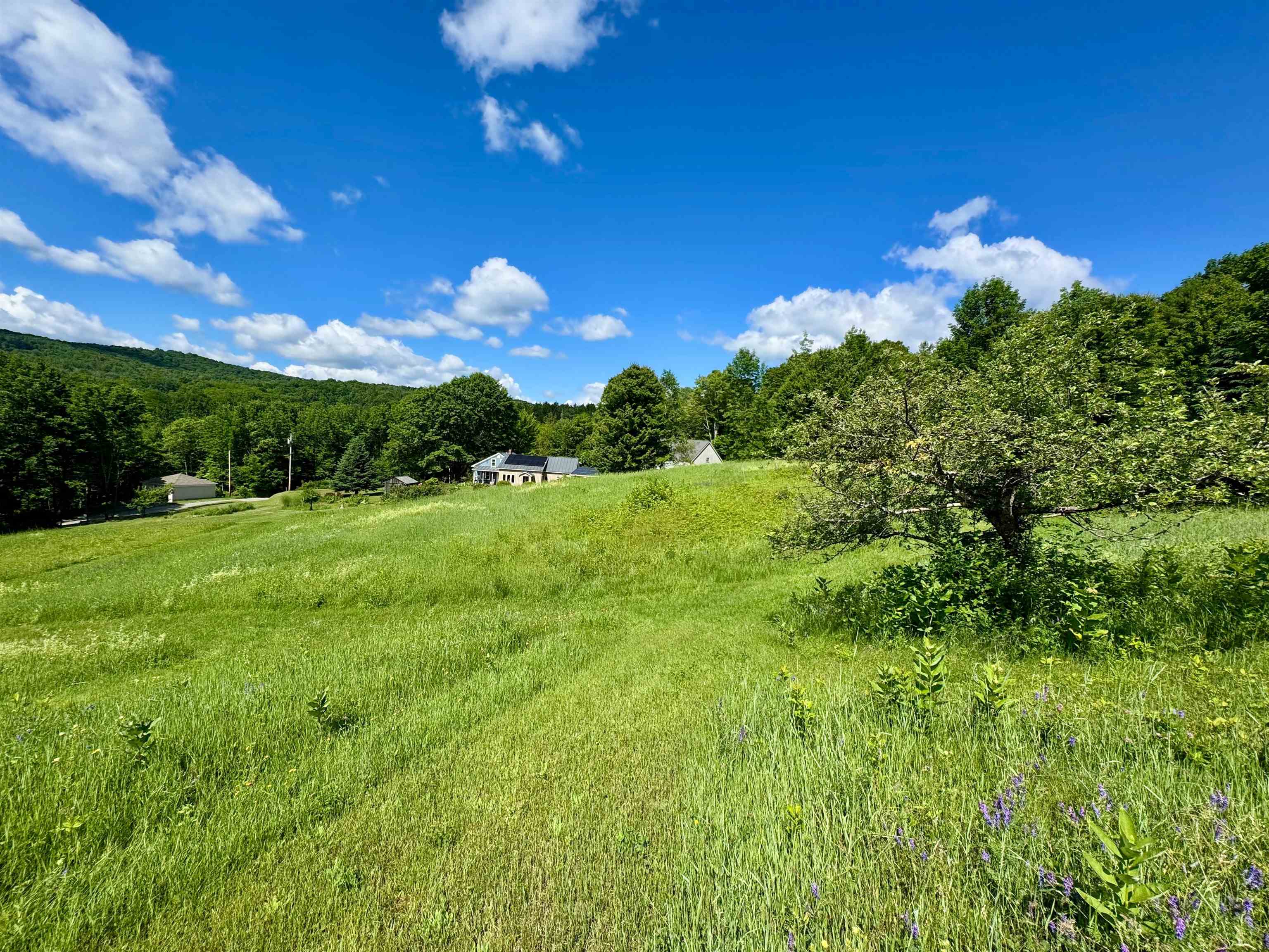1804 Pike Hill Road Property Photo 6