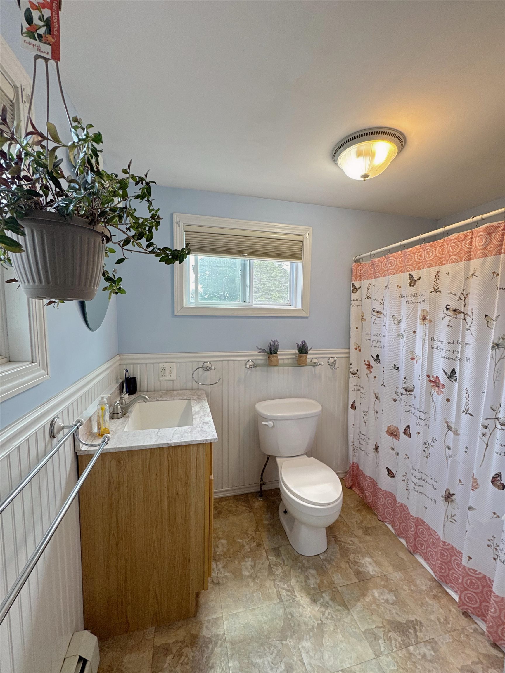 1 Ainsworth Road Property Photo 13