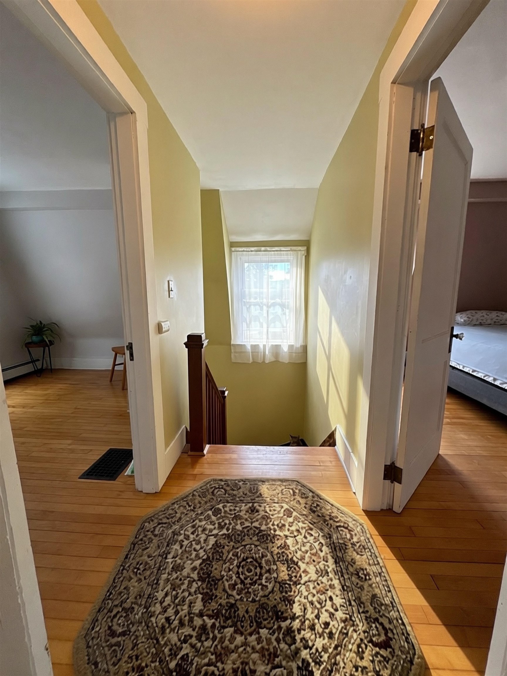 1 Ainsworth Road Property Photo 23