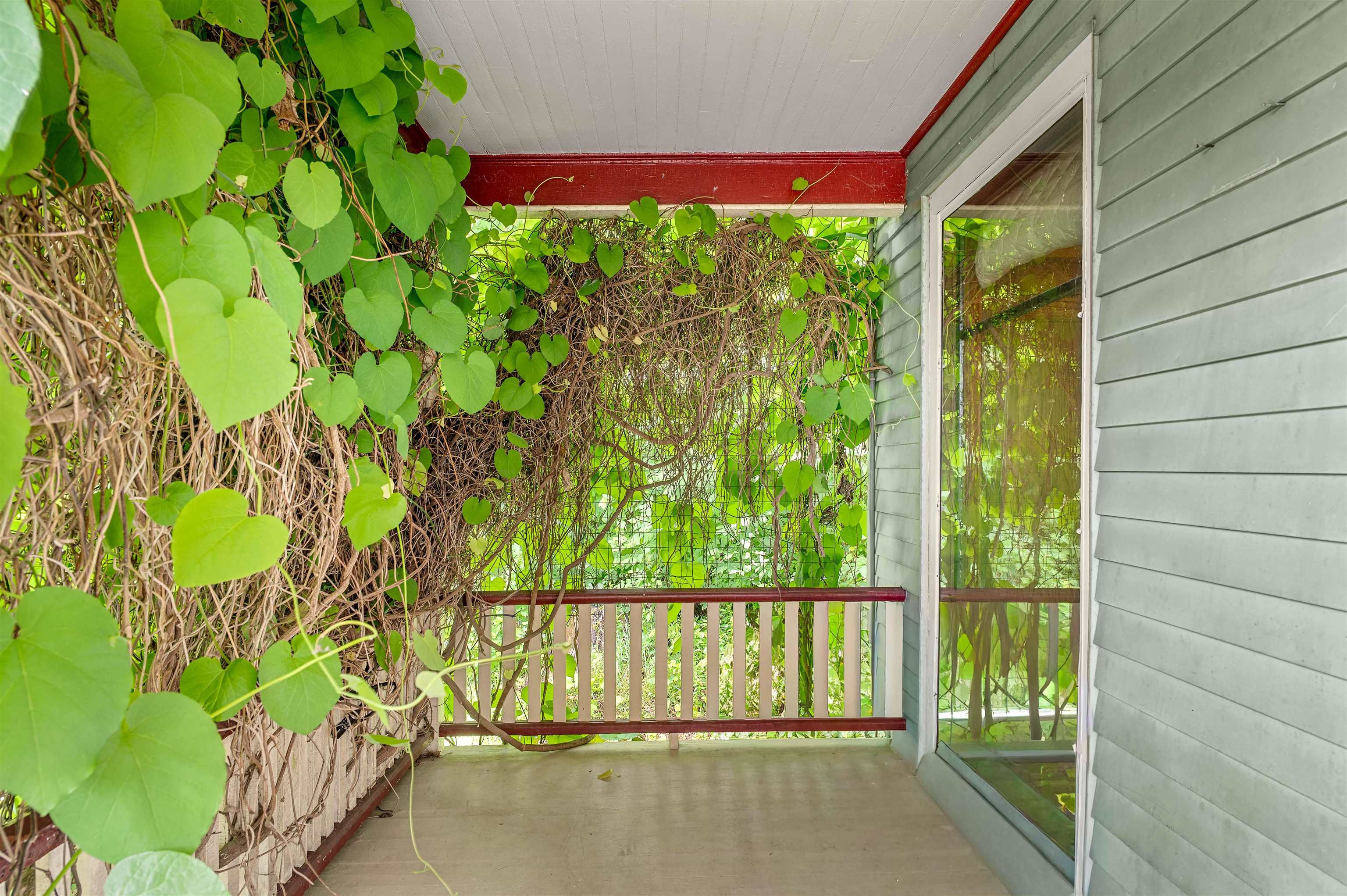 5 Lincoln Avenue Property Photo 43