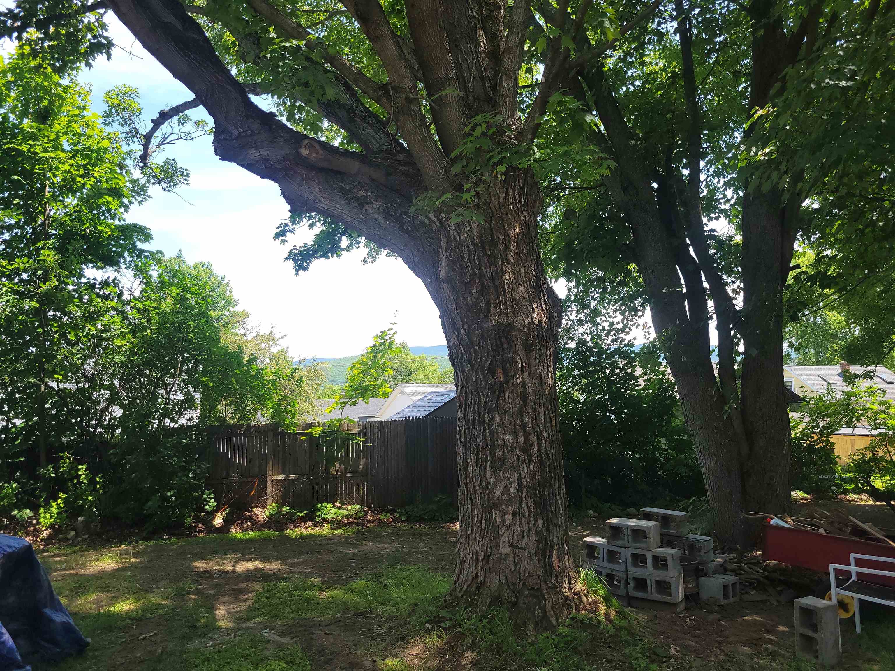 20 Ramsey Street Property Photo 21