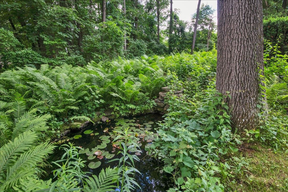 10 Birch Lane Property Photo 60