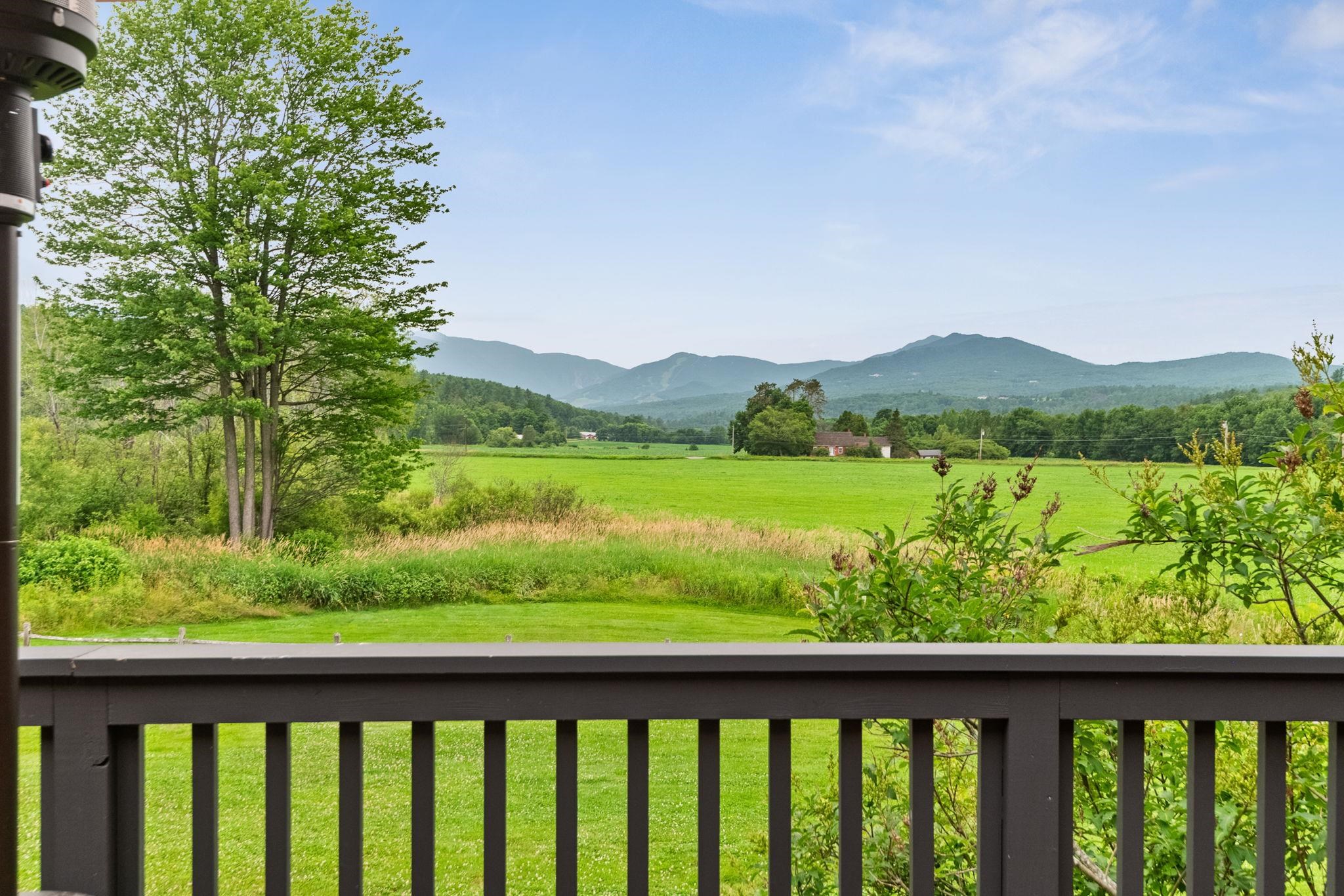 8 Wildlife Road Property Photo 38
