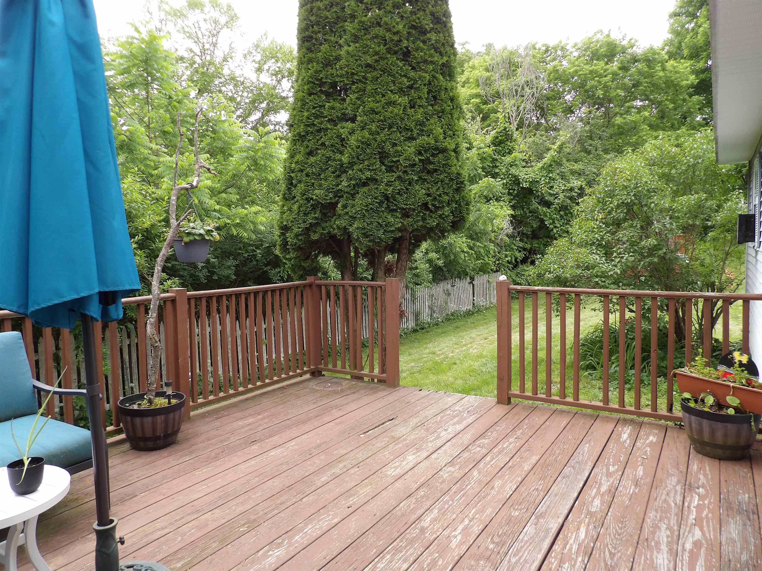 19 Phillips Street Property Photo 12