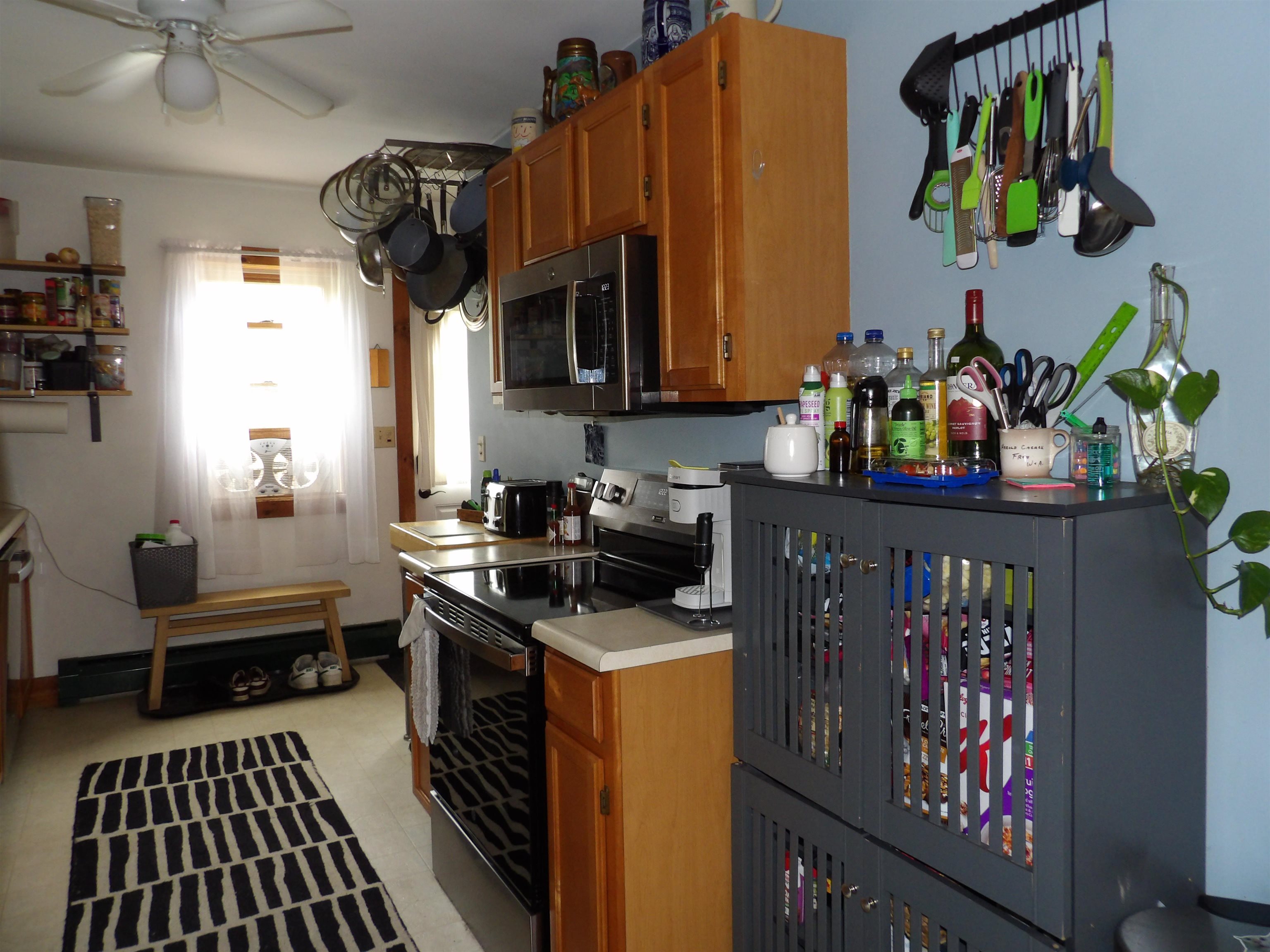 19 Phillips Street Property Photo 19