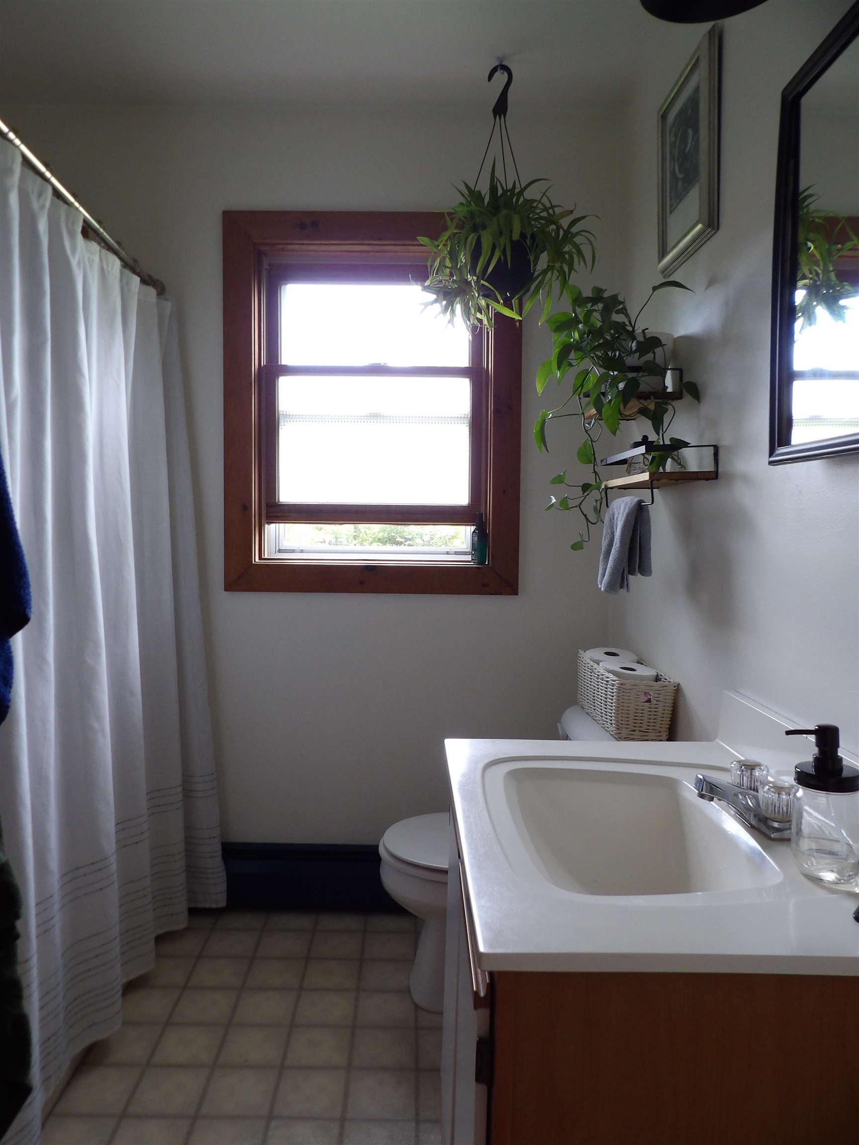 19 Phillips Street Property Photo 22