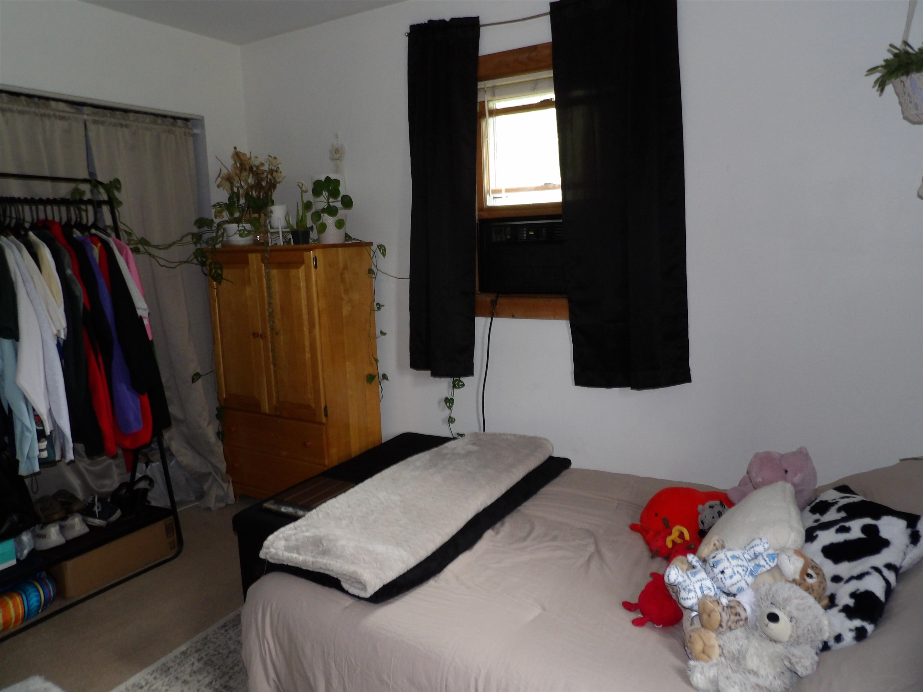 19 Phillips Street Property Photo 24
