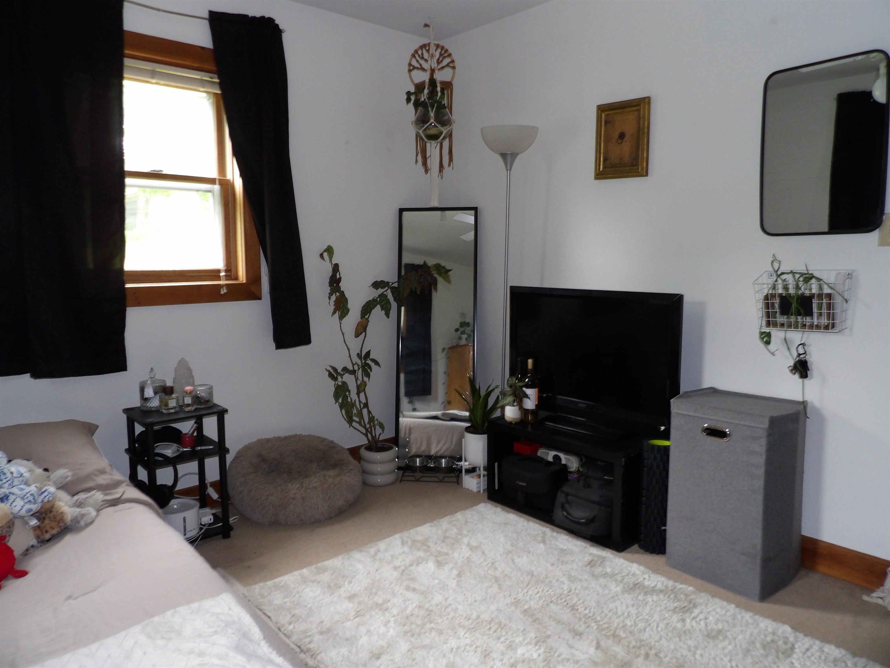 19 Phillips Street Property Photo 25