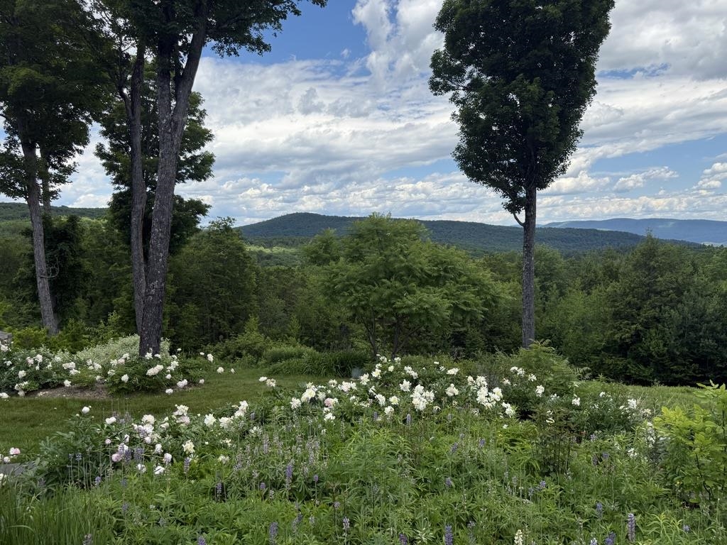 816 Black Bear Road Property Photo 3