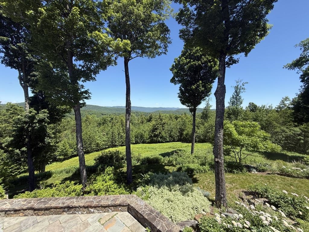 816 Black Bear Road Property Photo 53