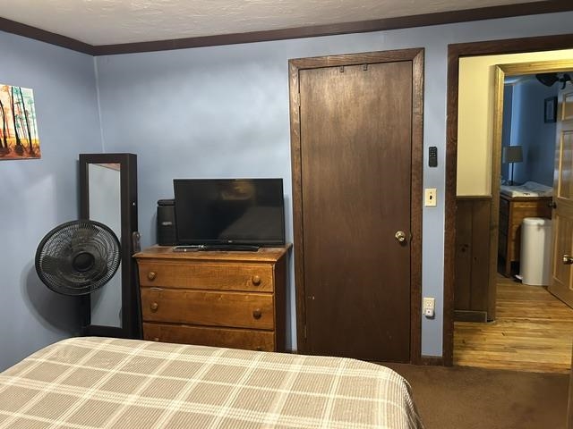 33 Edwards Street Property Photo 17