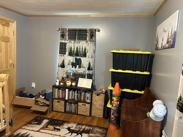 33 Edwards Street Property Photo 21