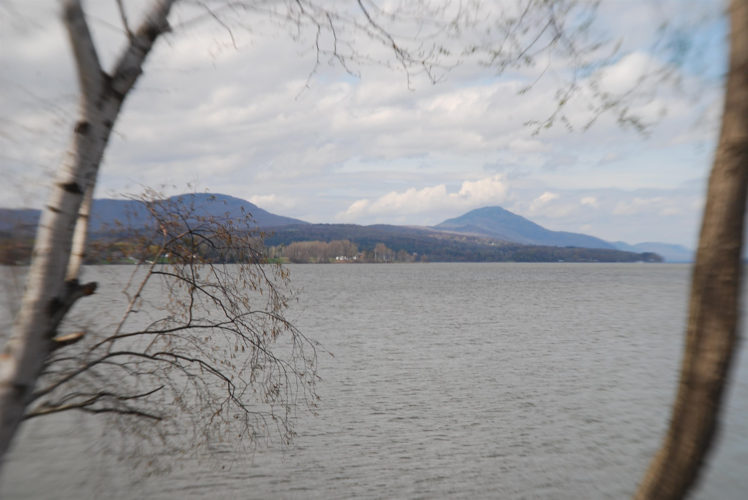 57 Farrants Point Property Photo 19