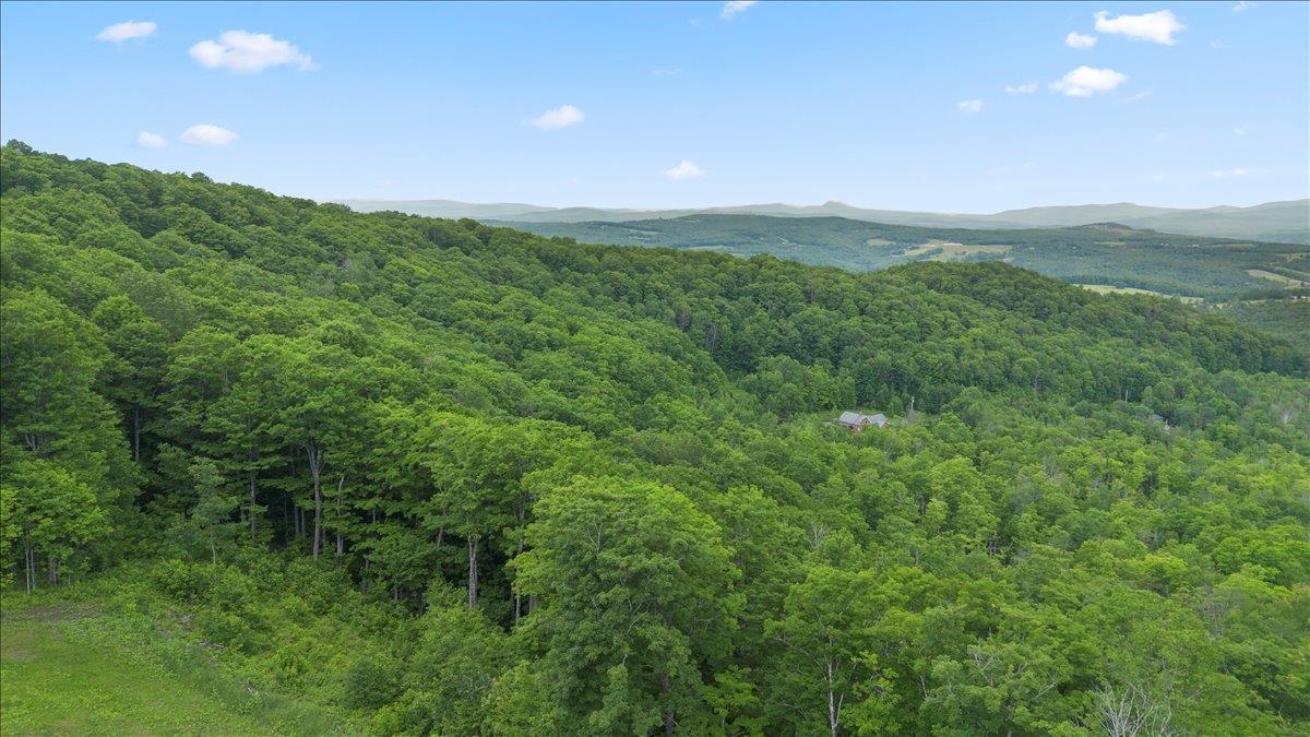 1822 Woodchuck Hollow Road Property Photo 33