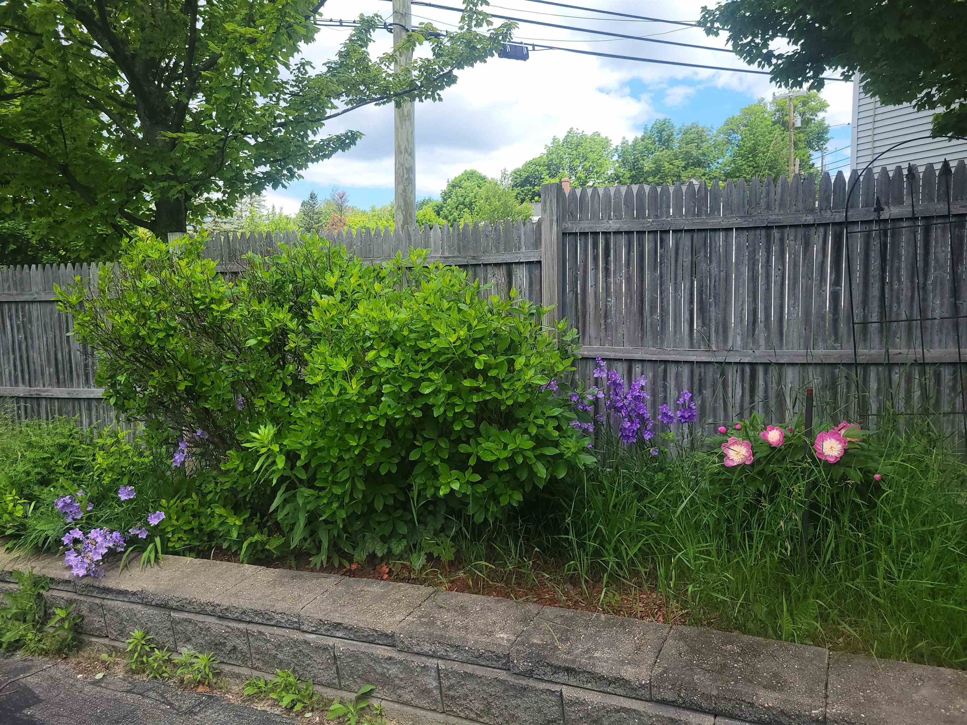 402 Hillside Avenue Property Photo 27