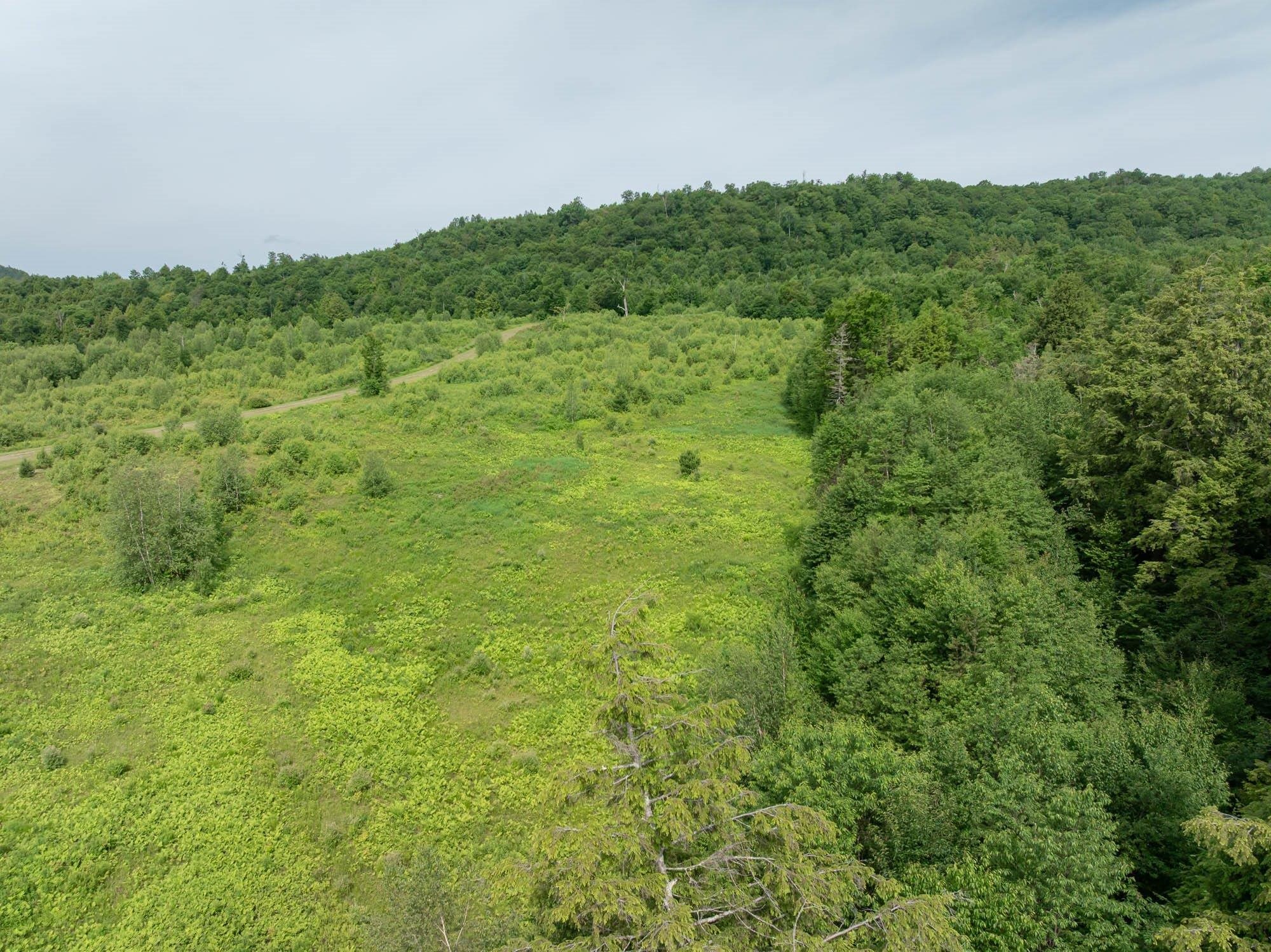 00 Birch Tree Lane Property Photo 4
