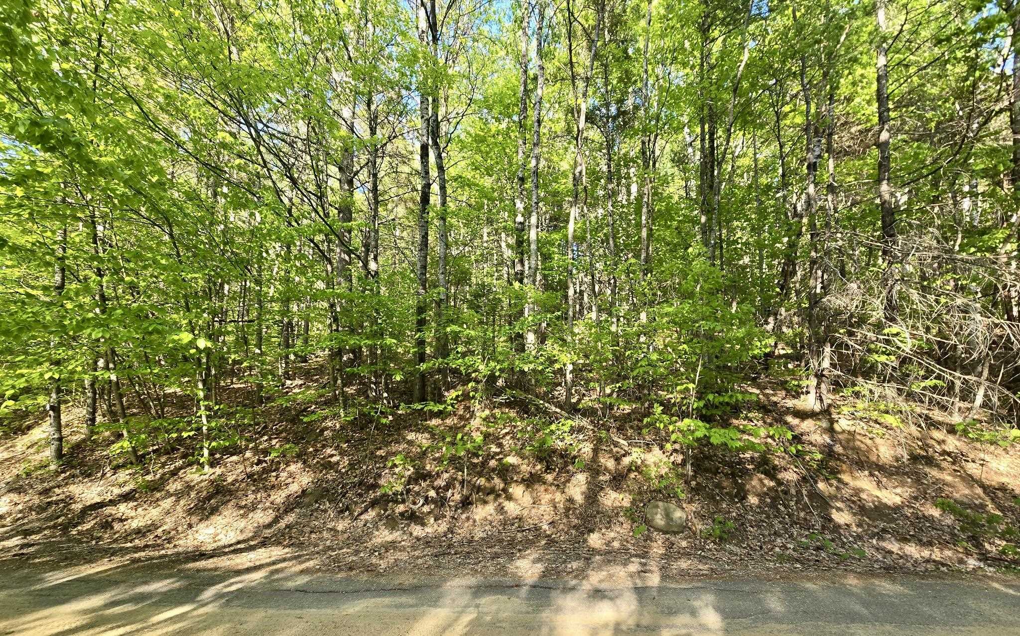 00 Isaac Fox Drive Property Photo 1