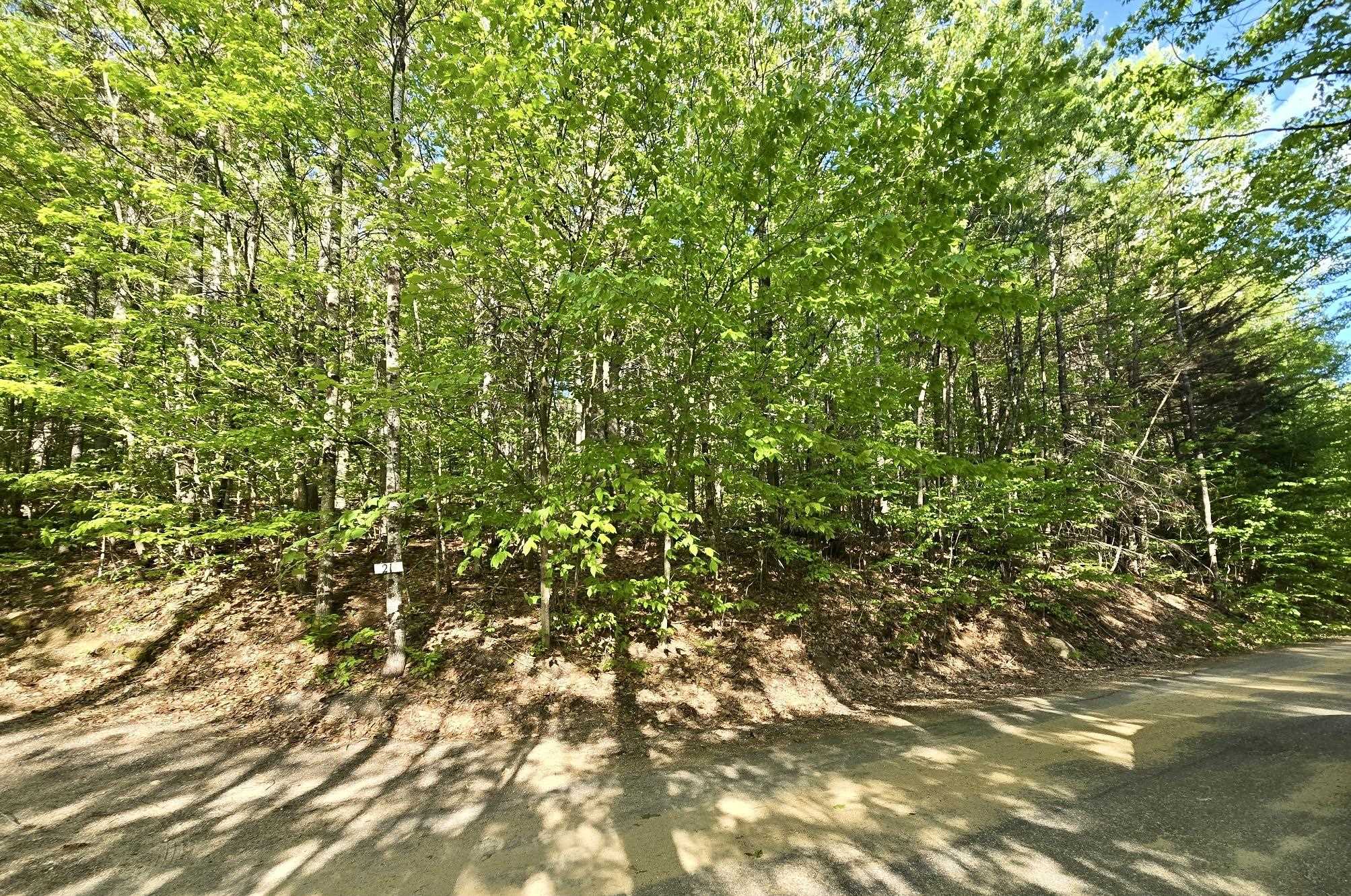 00 Isaac Fox Drive Property Photo 2