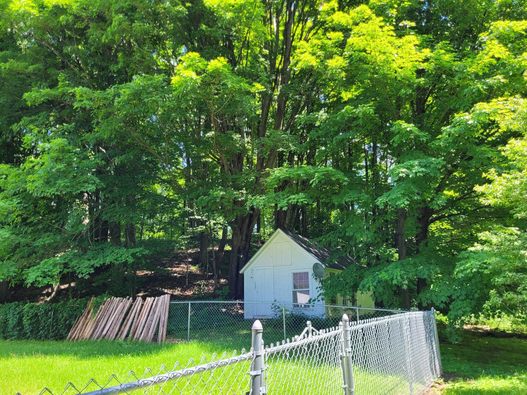 17 Maplewood Avenue Property Photo 37