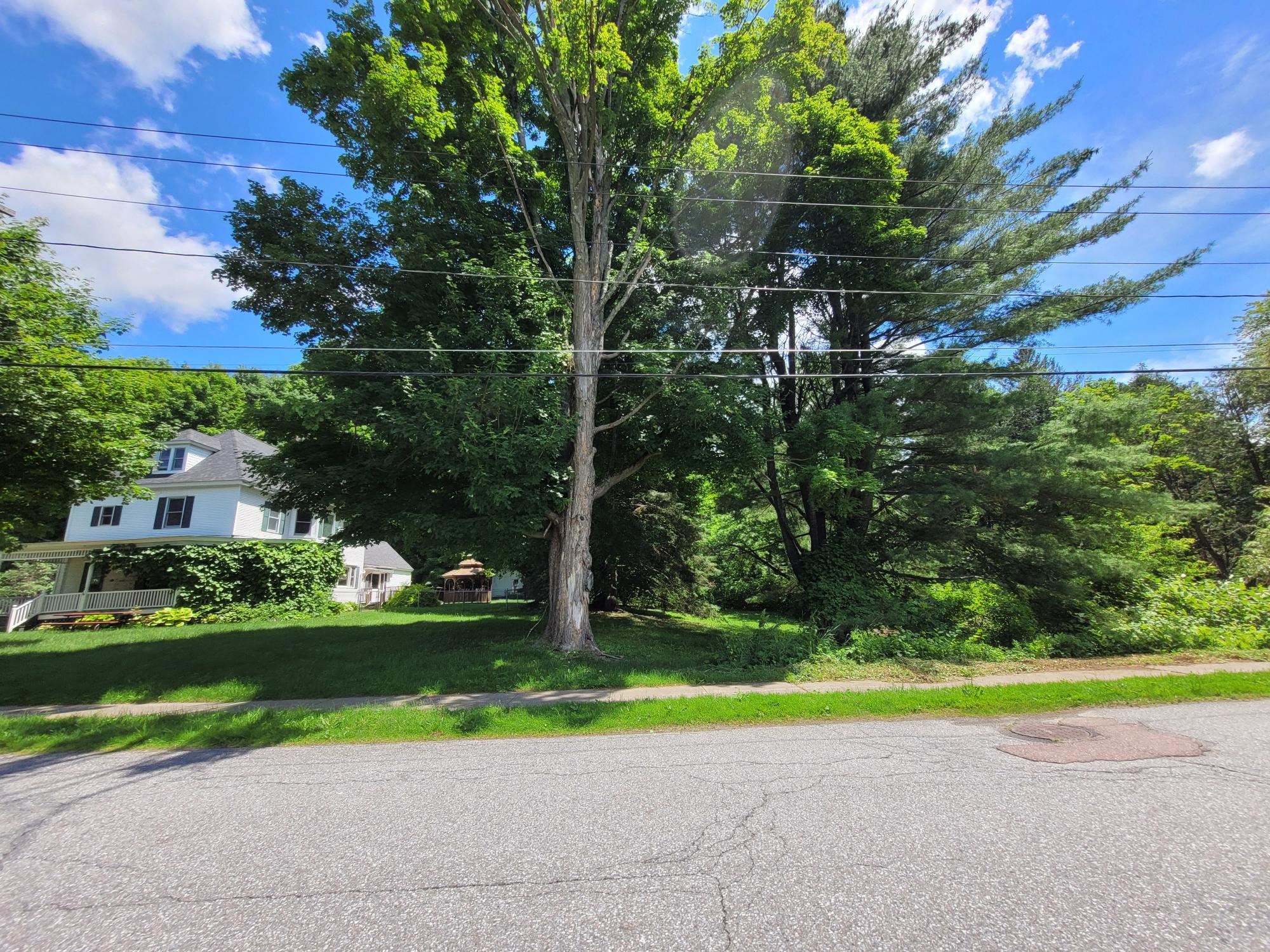 17 Maplewood Avenue Property Photo 41