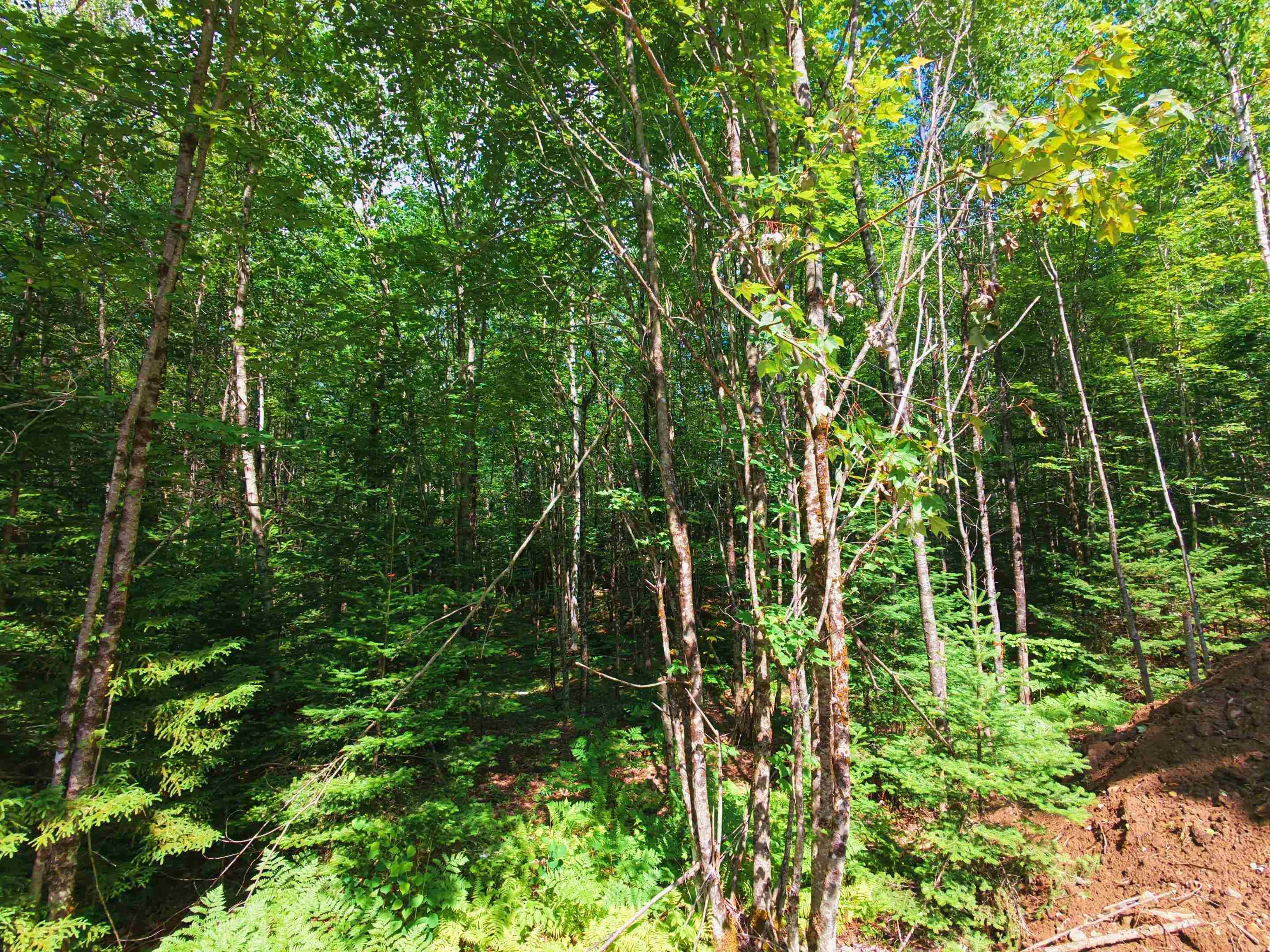 -- Oregon Road Property Photo 5