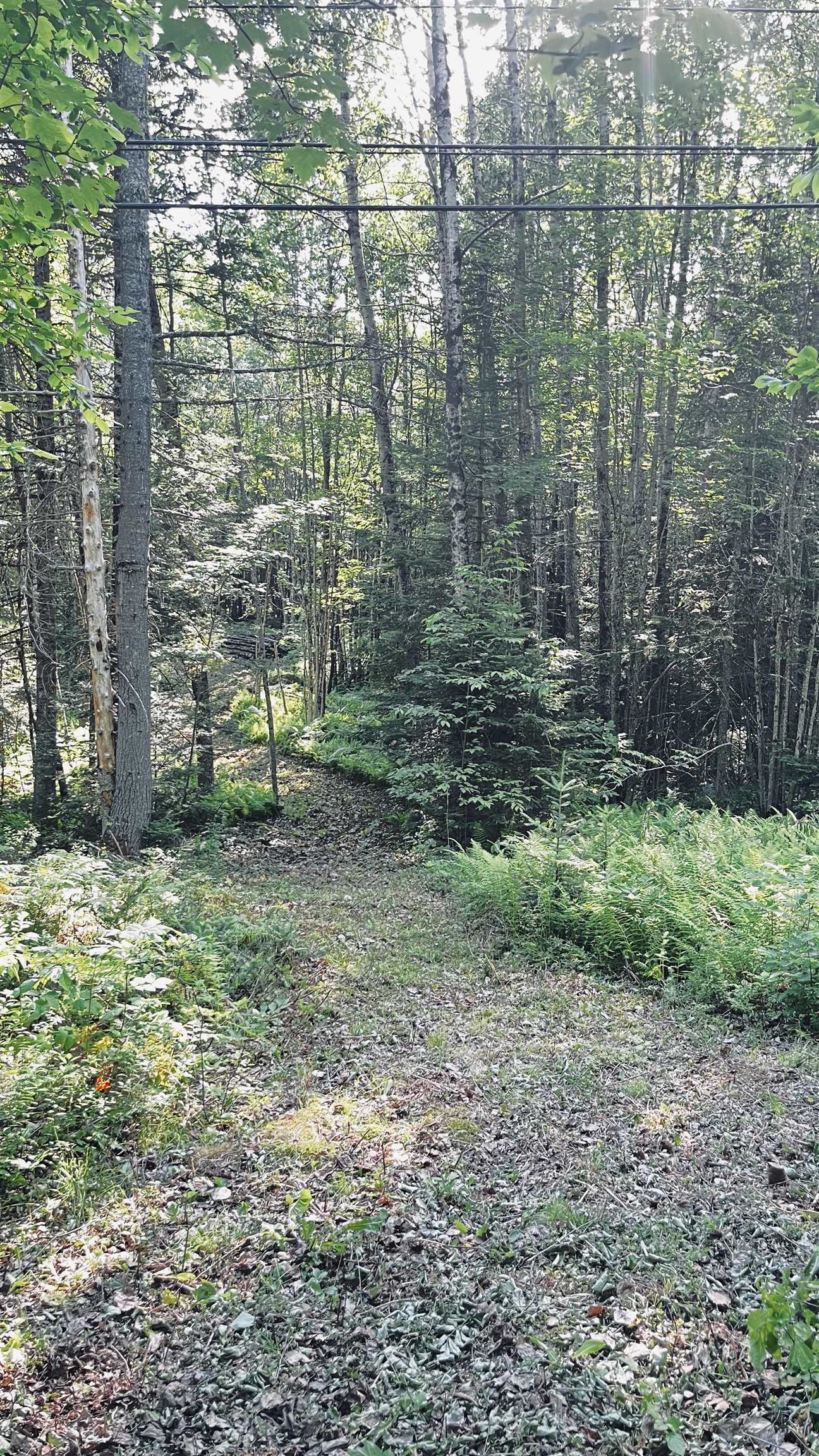 -- Oregon Road Property Photo 53