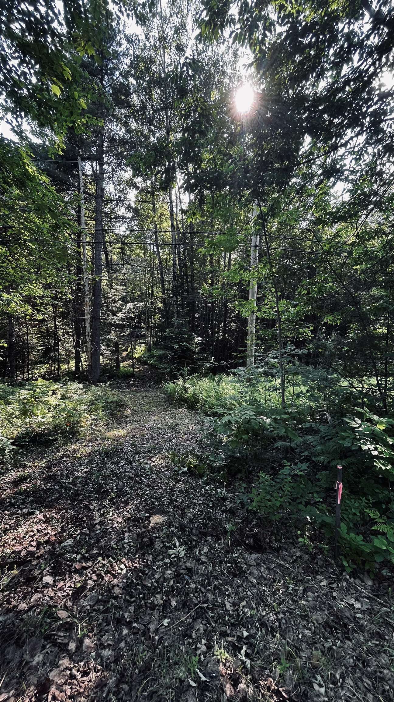 -- Oregon Road Property Photo 55