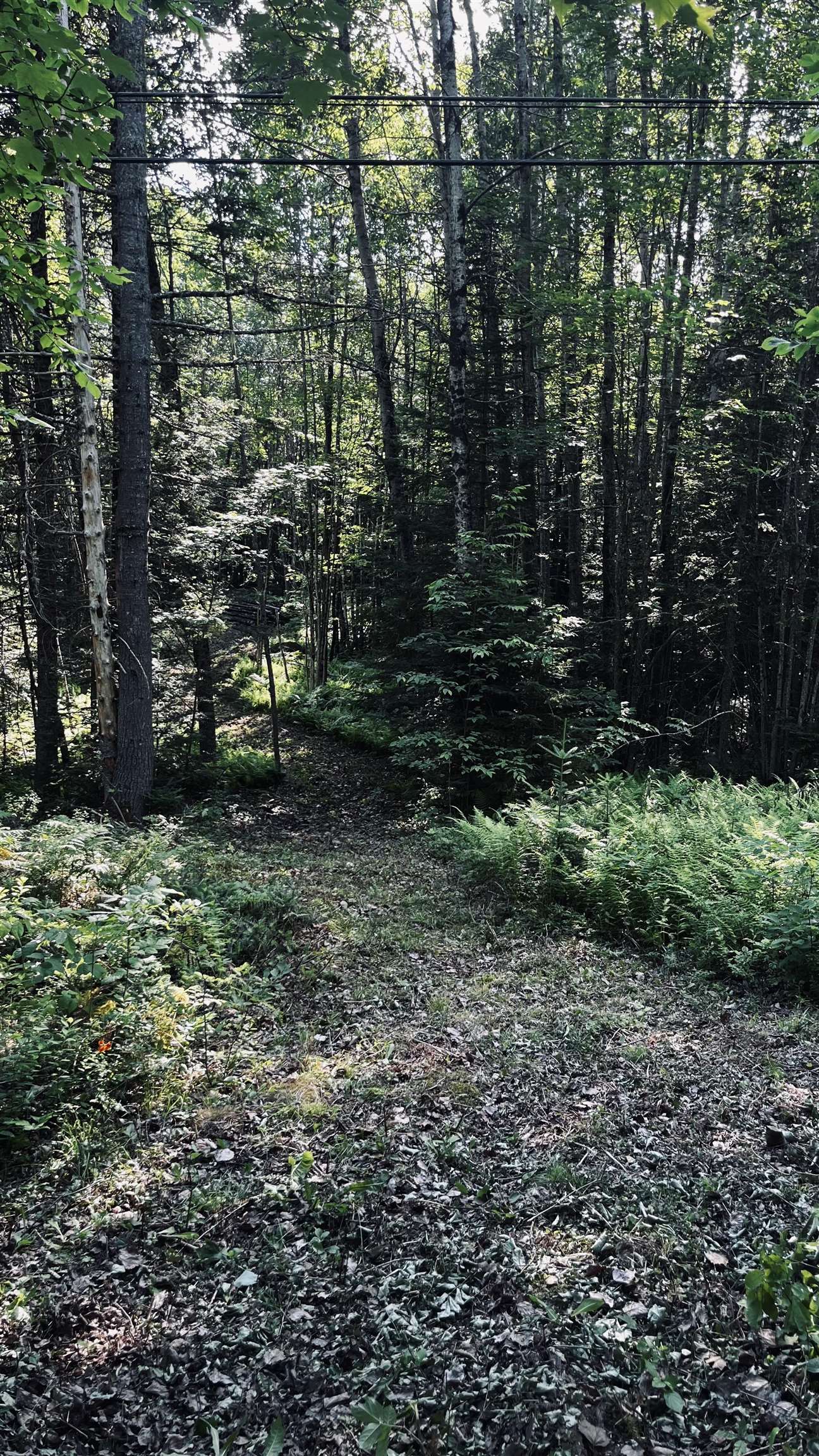 -- Oregon Road Property Photo 56