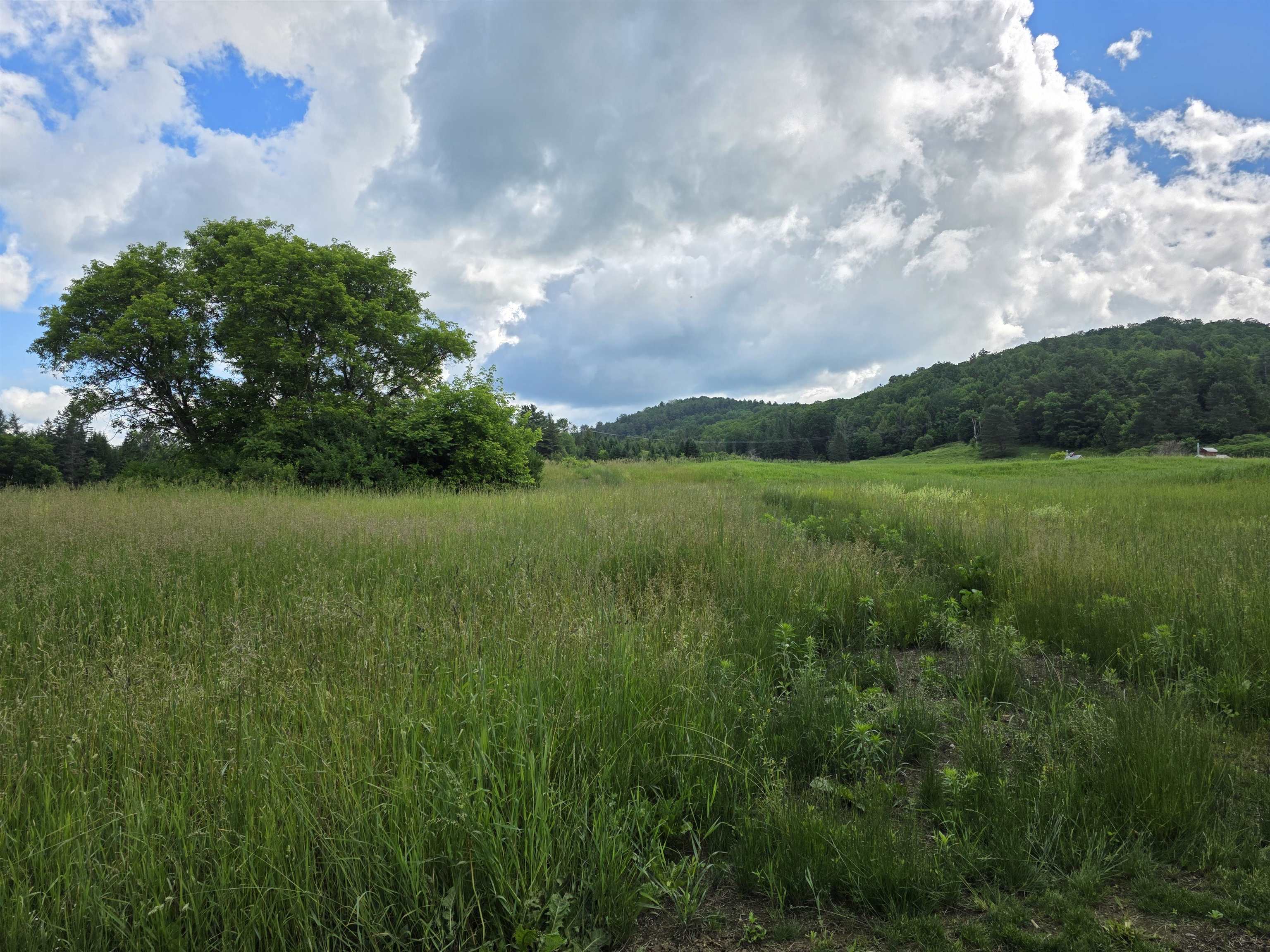1385 Red Village Road Property Photo 35