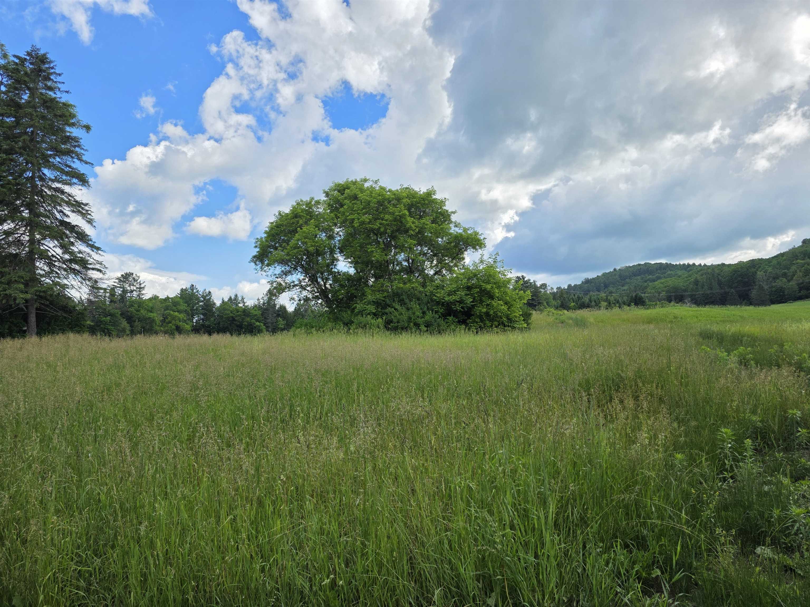 1385 Red Village Road Property Photo 36