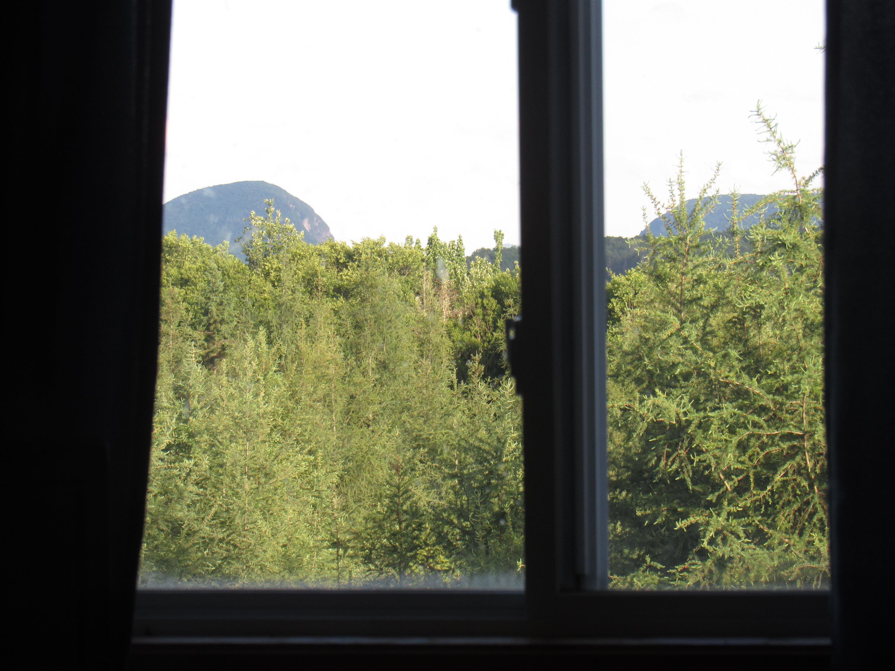 786 Dutton Brook Lane Property Photo 12
