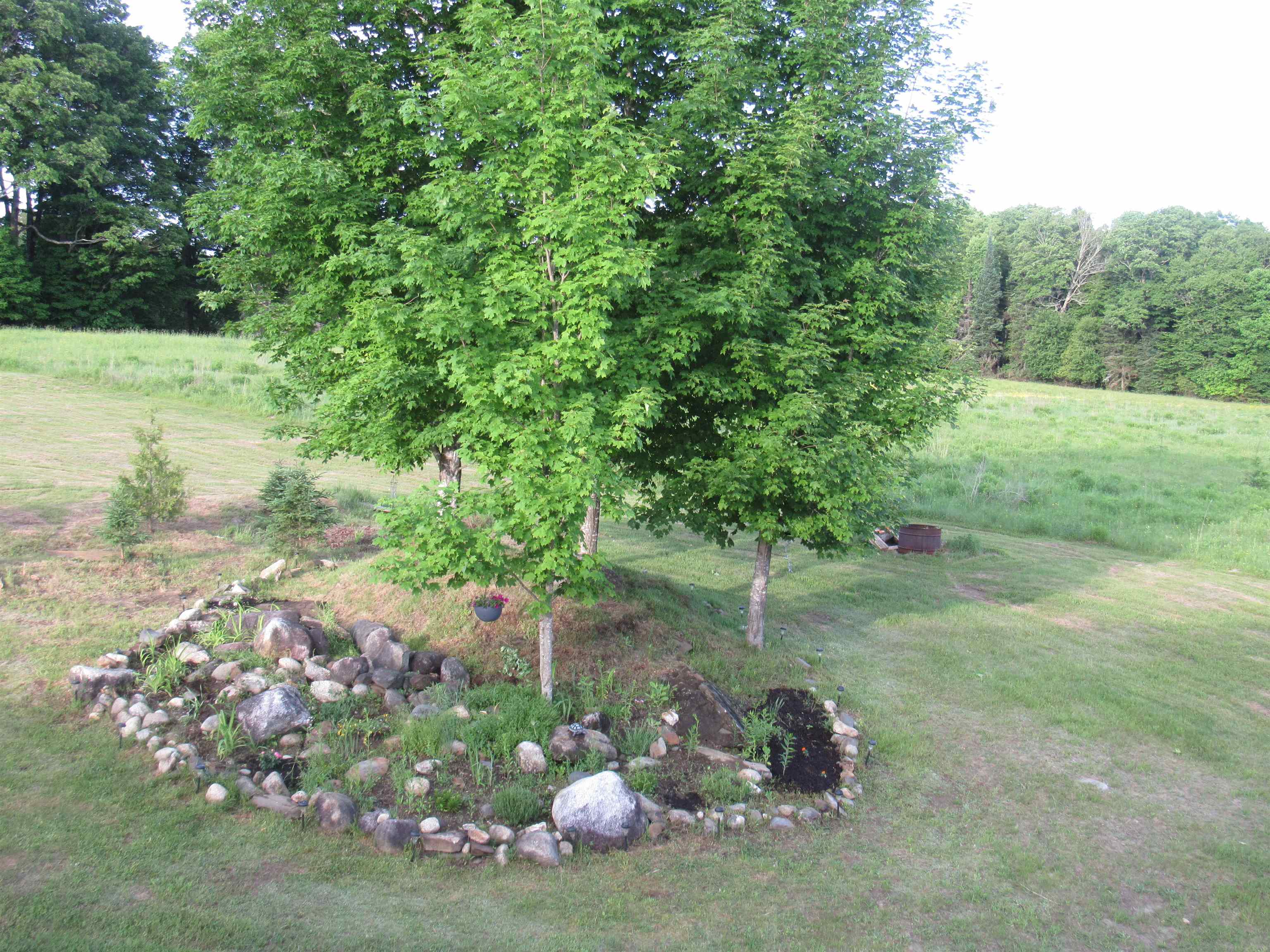 786 Dutton Brook Lane Property Photo 34