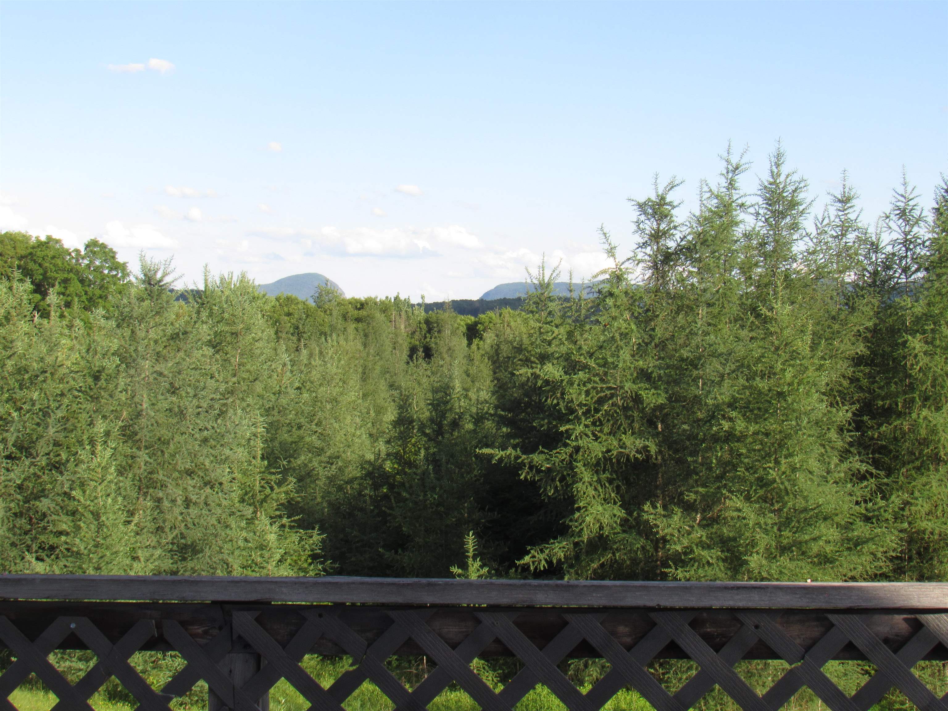 787 Dutton Brook Lane Property Photo 23
